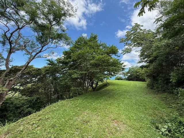 nosara-costa-rica-property-for-sale-sky.jpg