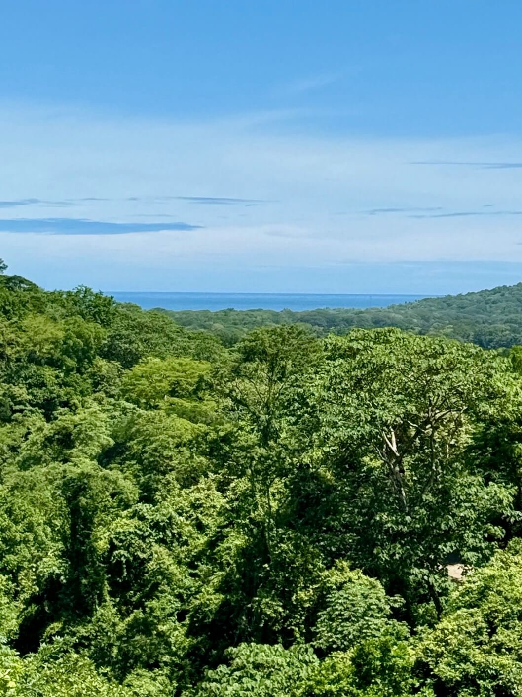 nosara-lots-upper-views.jpg