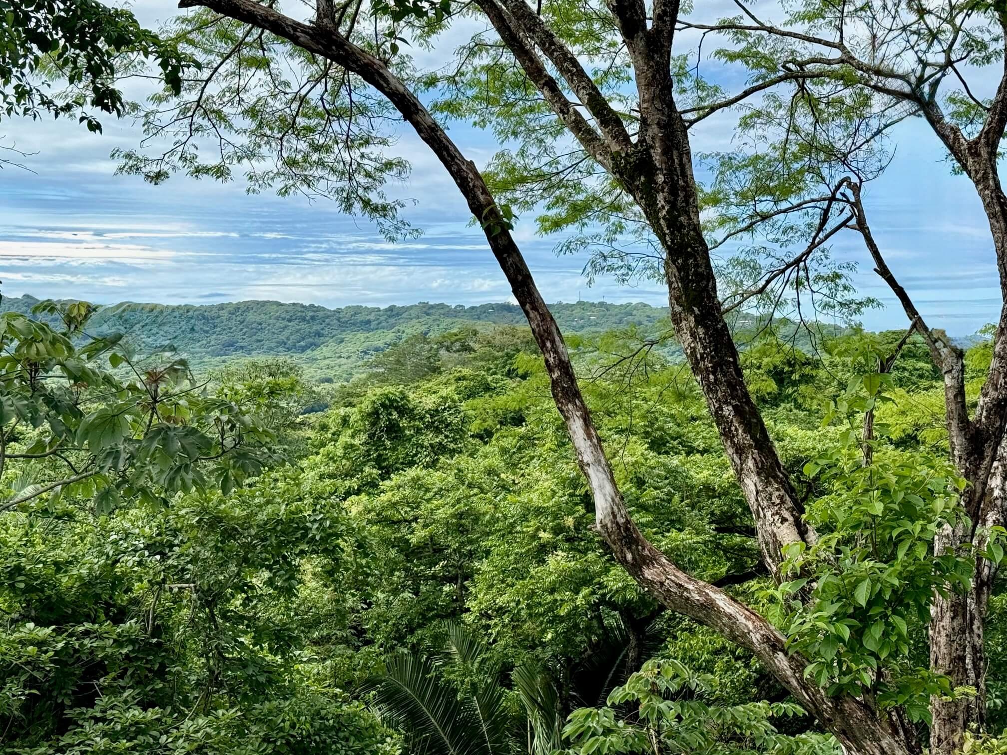 nosara-lots-valley.jpg