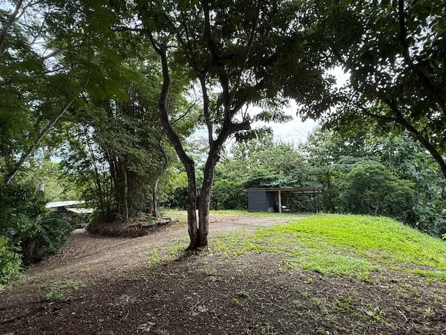 nosara-guanacaste-costa-rica-real-estate-lawn.jpg