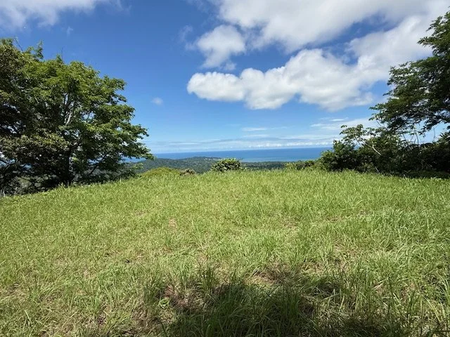 nosara-costa-rica-property-for-sale-flat-build.jpg