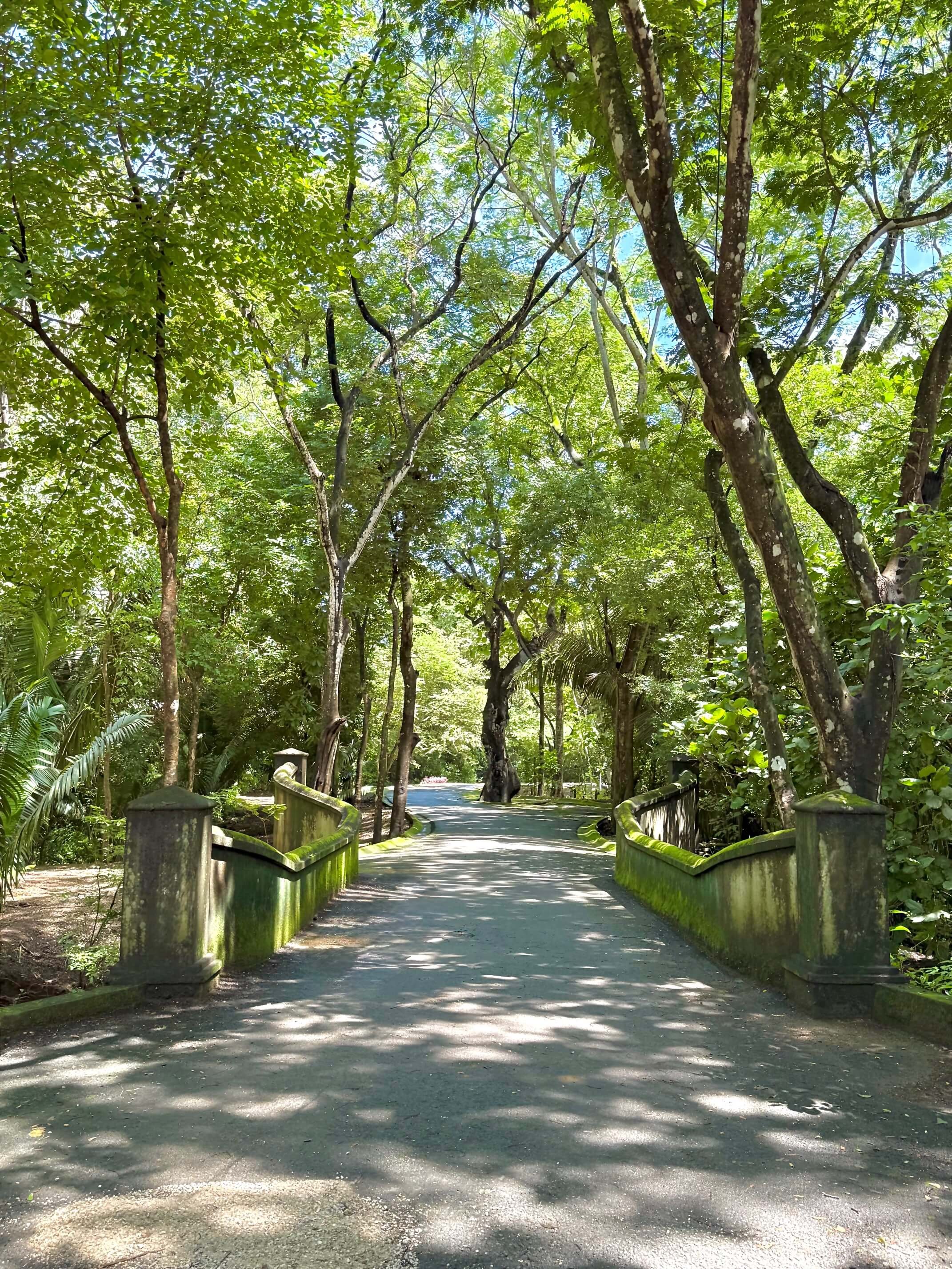 nosara-lots-entry.jpg
