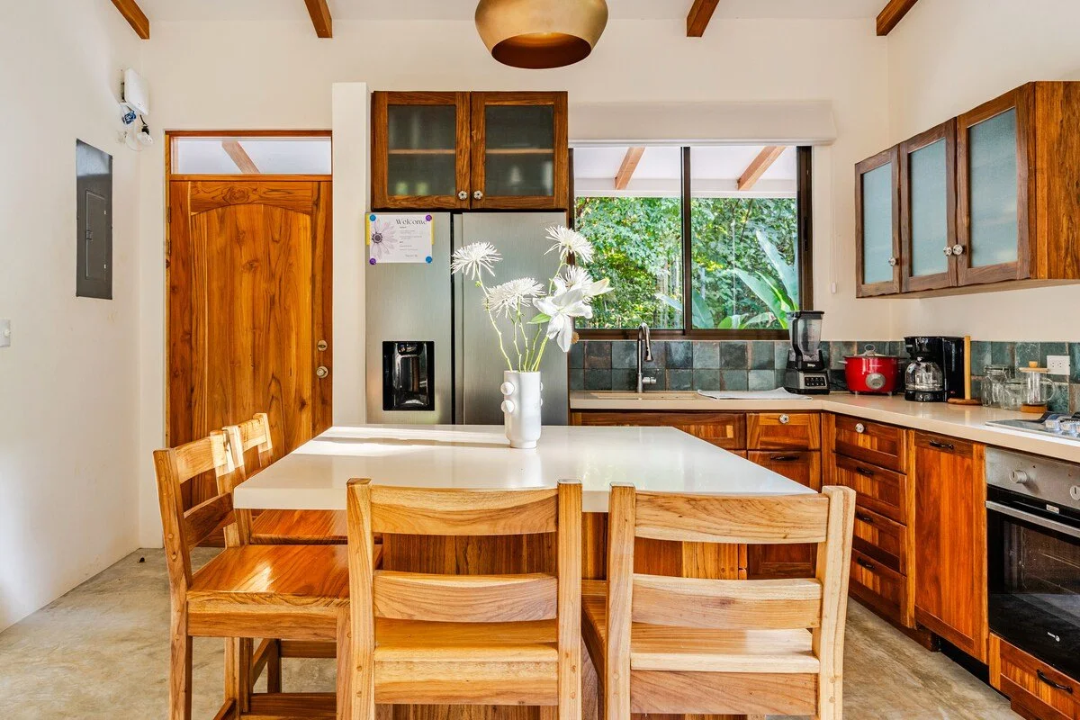 home-for-sale-nosara-amor-kitchen.jpg