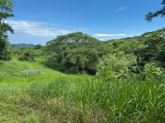 La Encantada 21 - Lots For Sale Nosara Costa Rica