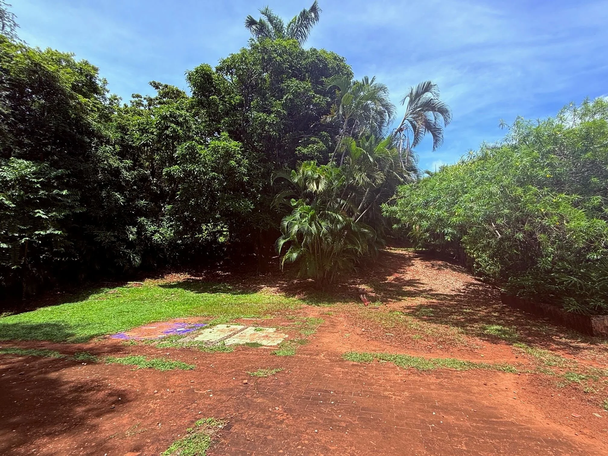 land-for-sale-nosara-costa-rica-large-lot.jpg