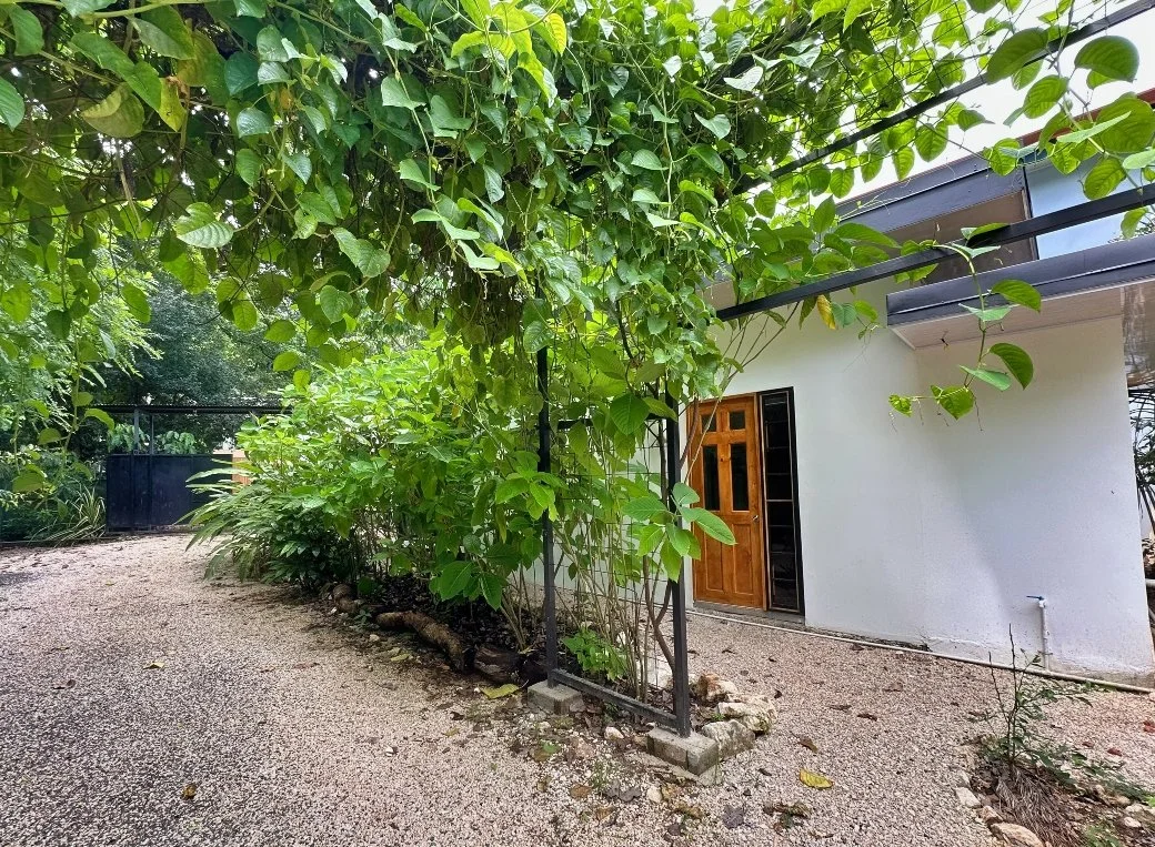 Congo-property-for-sale-Nosara-SuiteExt.jpg