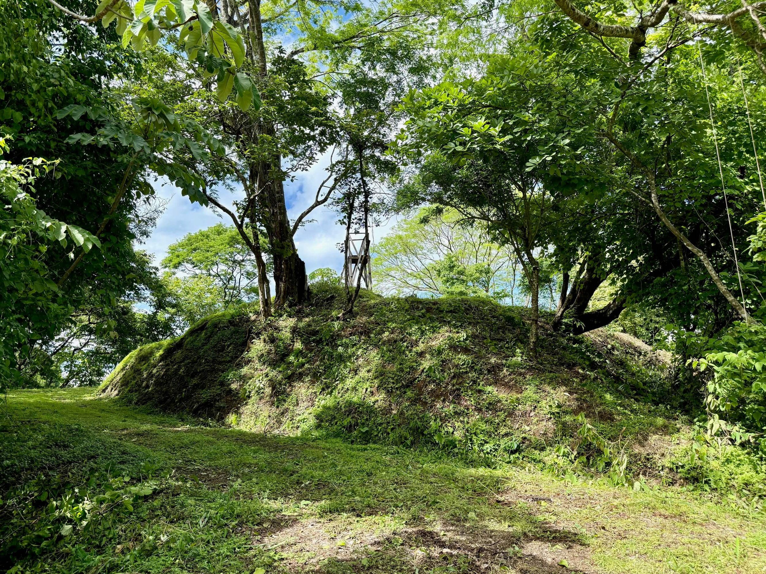 nosara-lots-trees.jpg