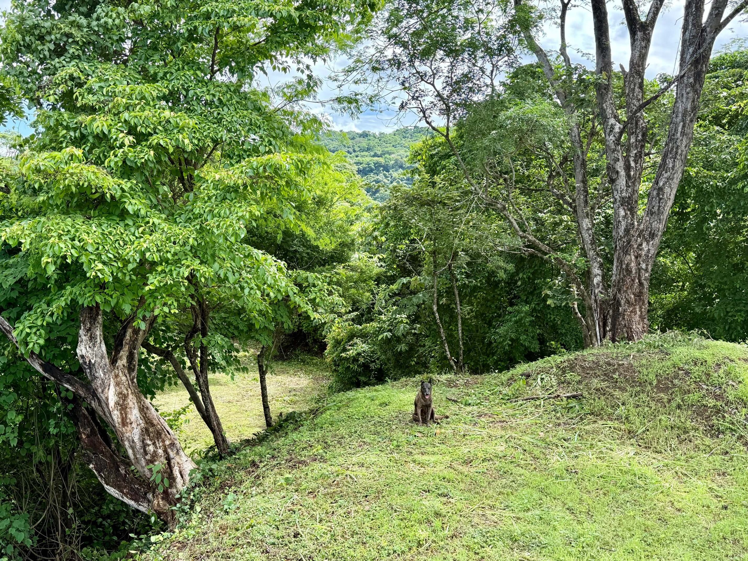 nosara-lots-terraced.jpg