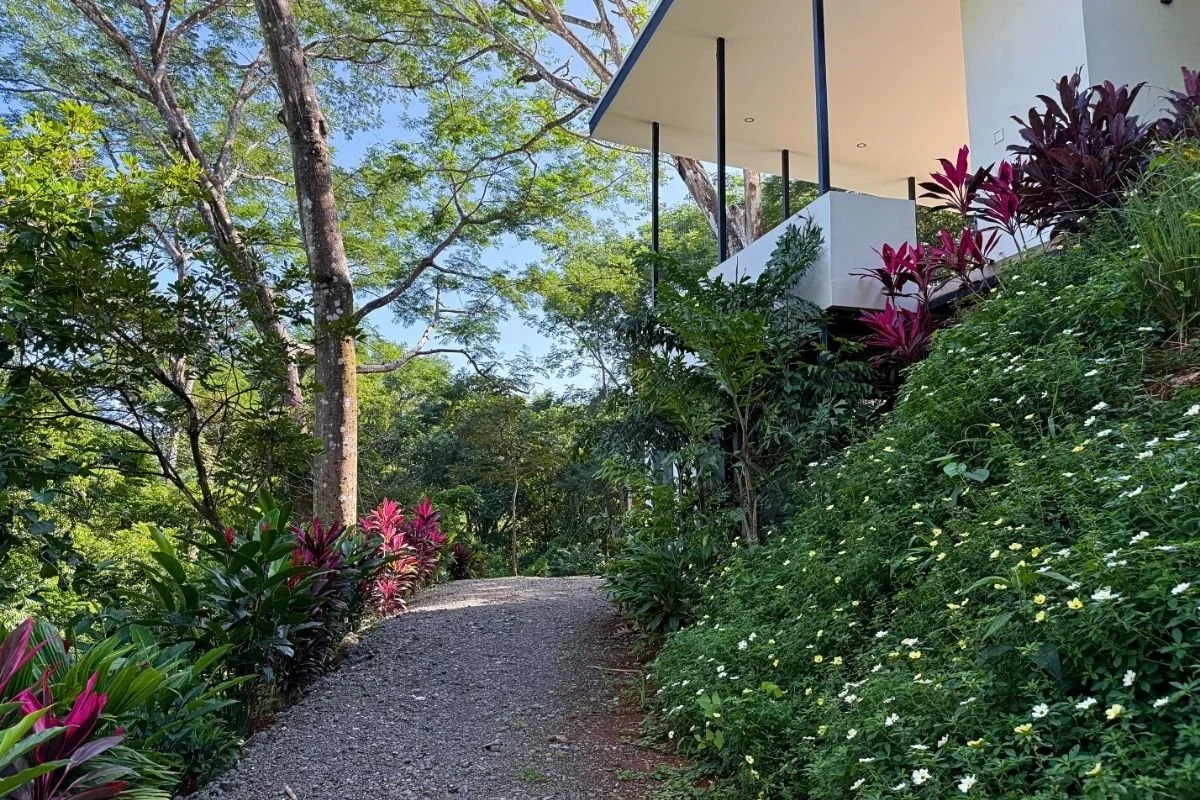 nosara-real-estate-for-sale-driveway.jpg