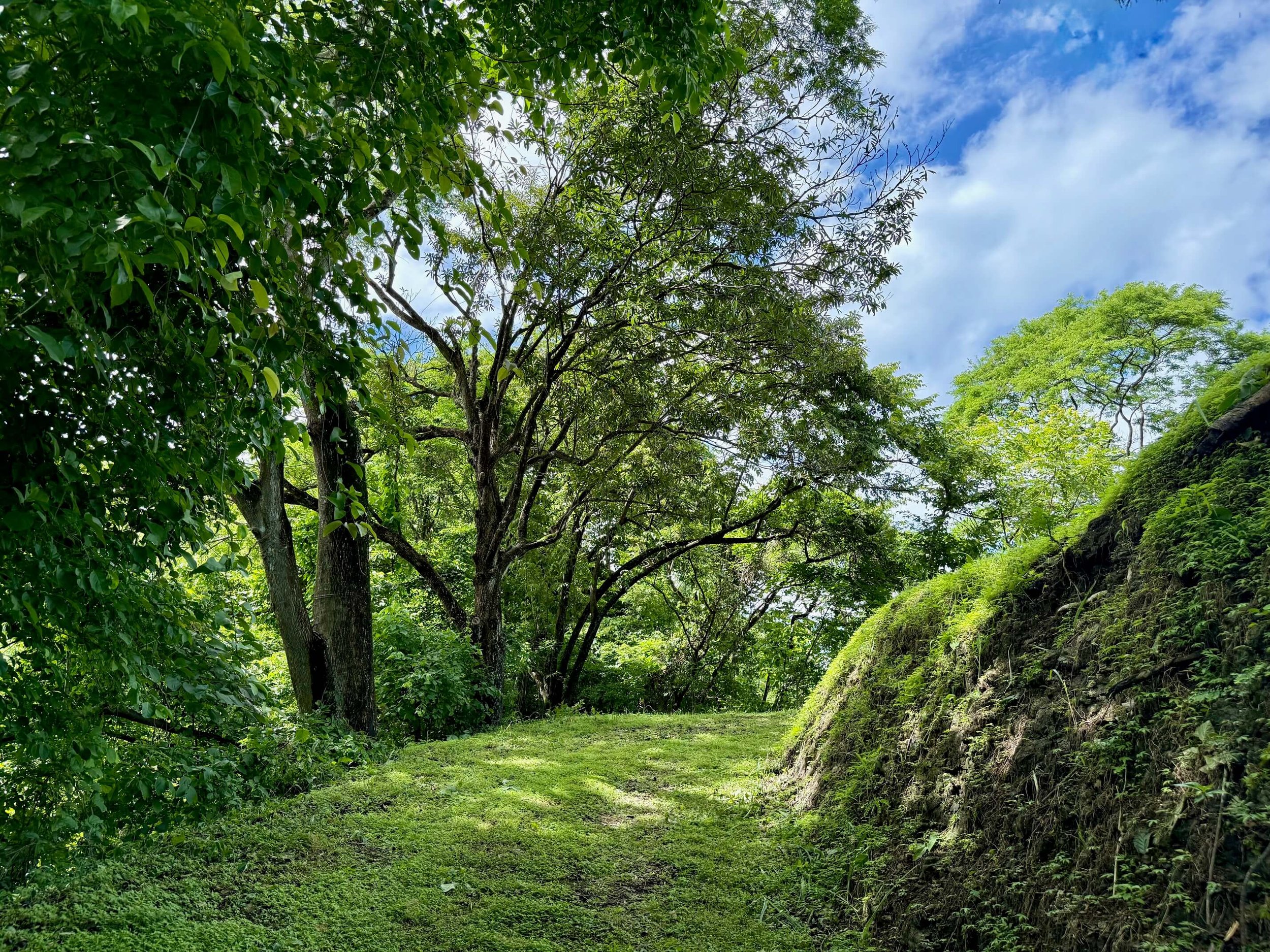 nosara-lots-terraces.jpg