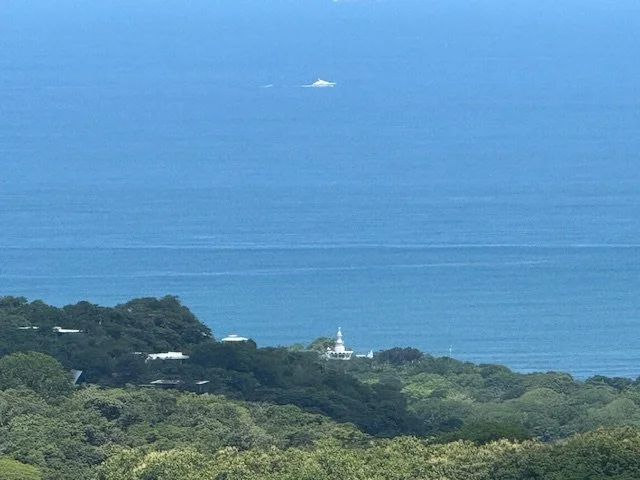 nosara-costa-rica-property-for-sale-ocean.jpg