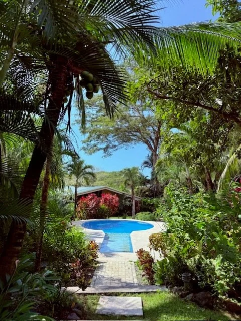 nosara-condo-for-sale-pool.jpg