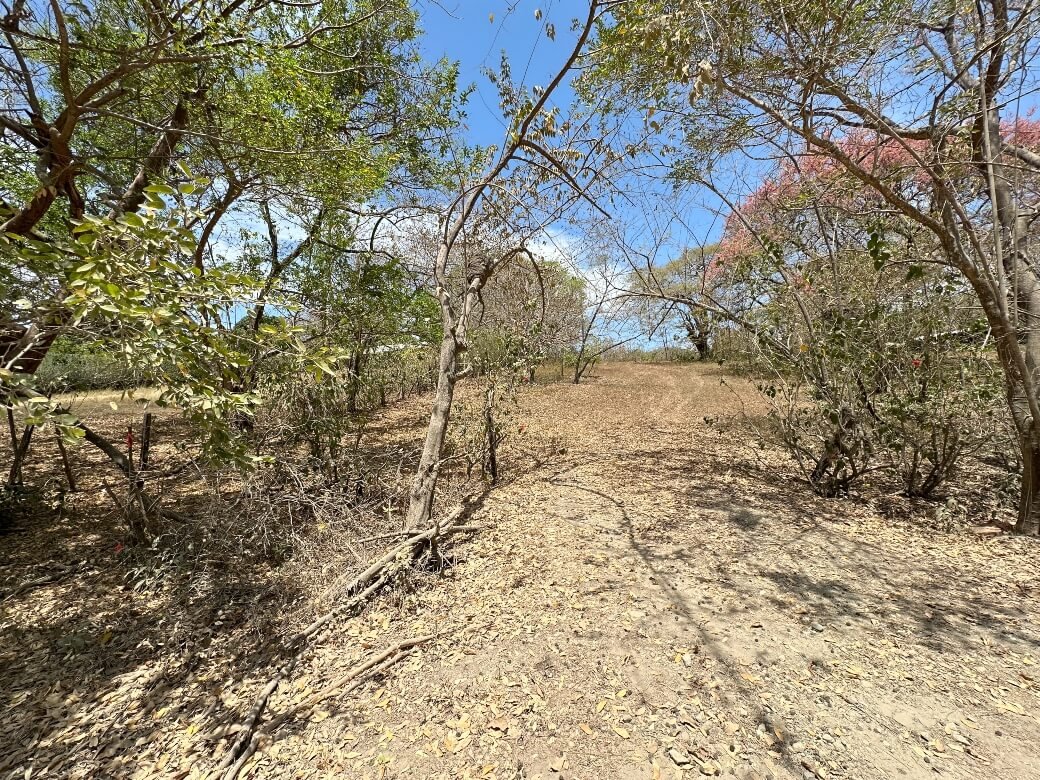 entrance-nosara-land-for-sale.jpg