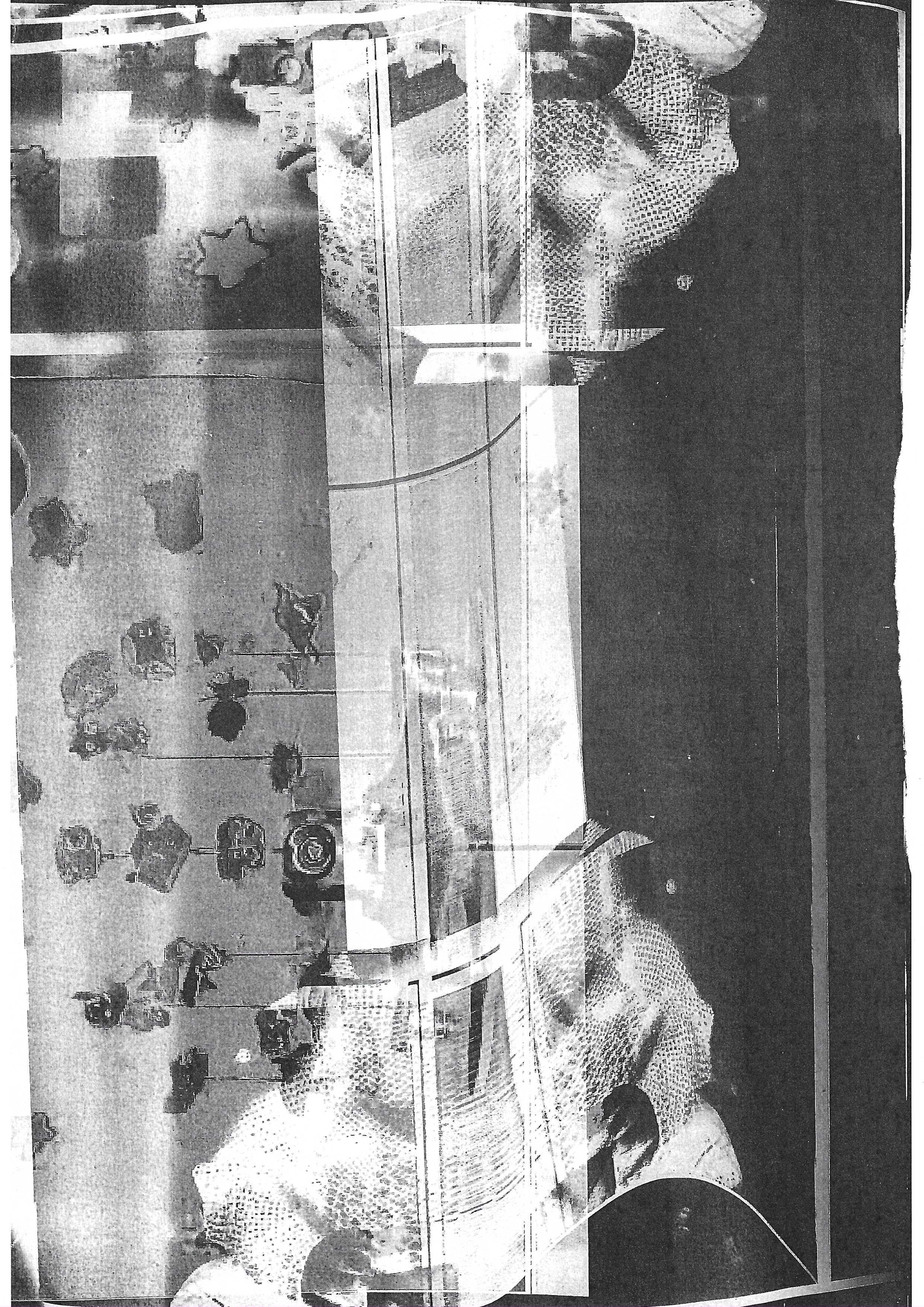 Scan 13.jpeg