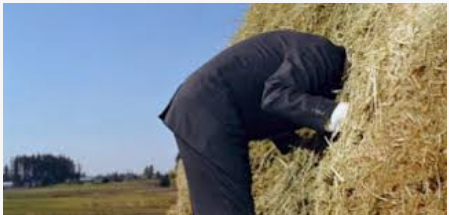 Stop Looking for the Needle. Burn the Hay.