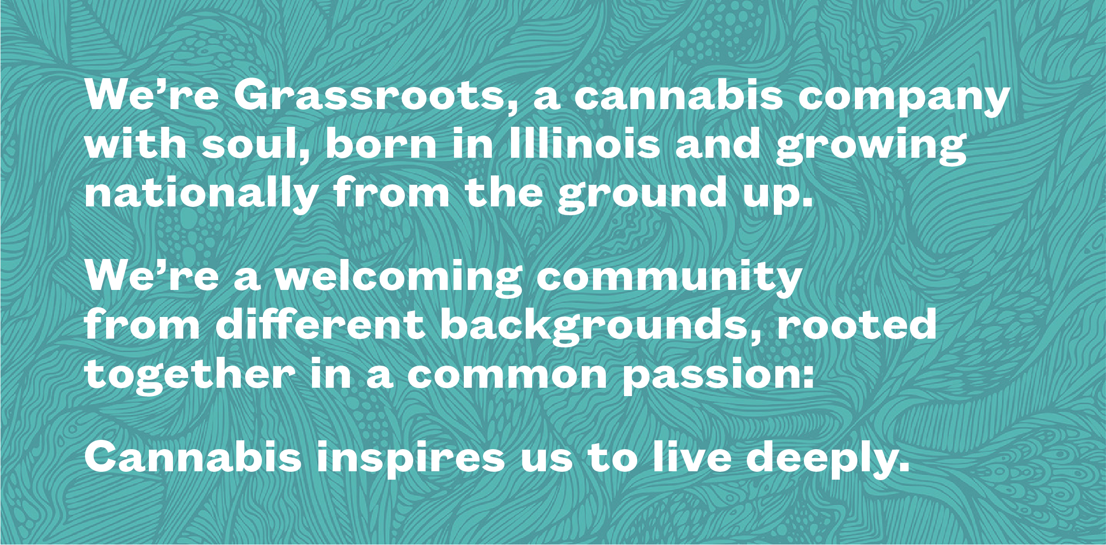 Grassroots Case Study-02-02.png