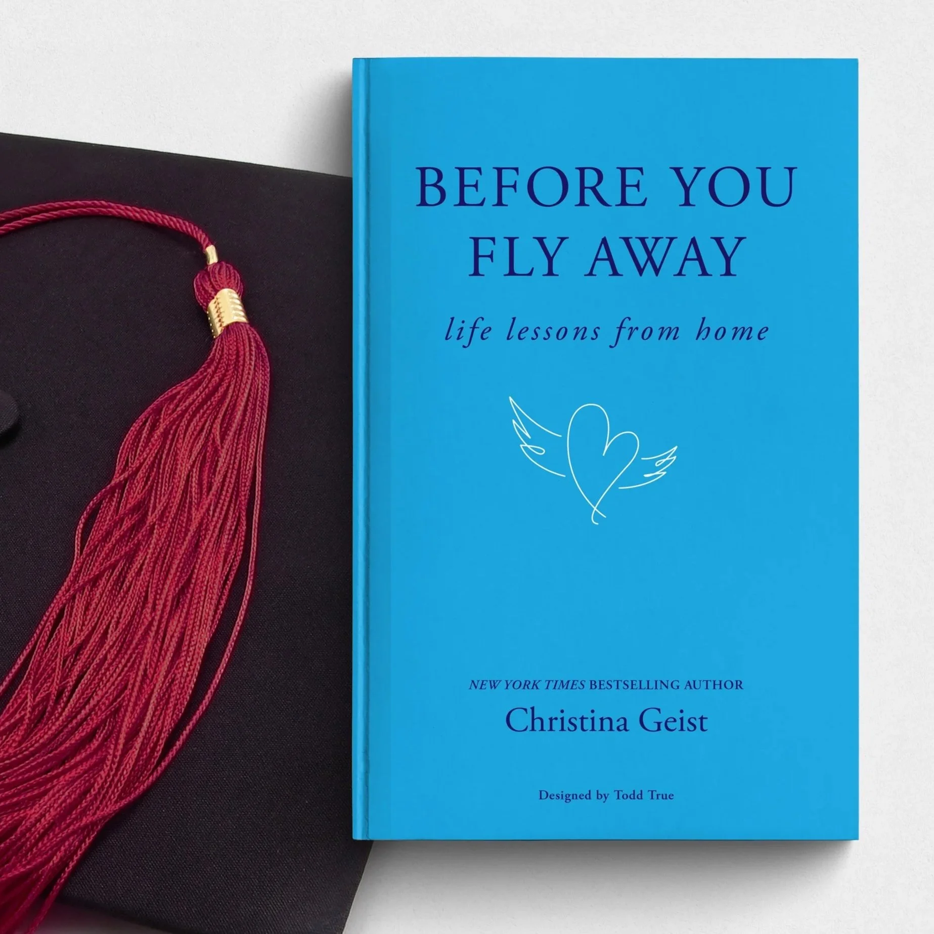 Before You Fly Away Book
