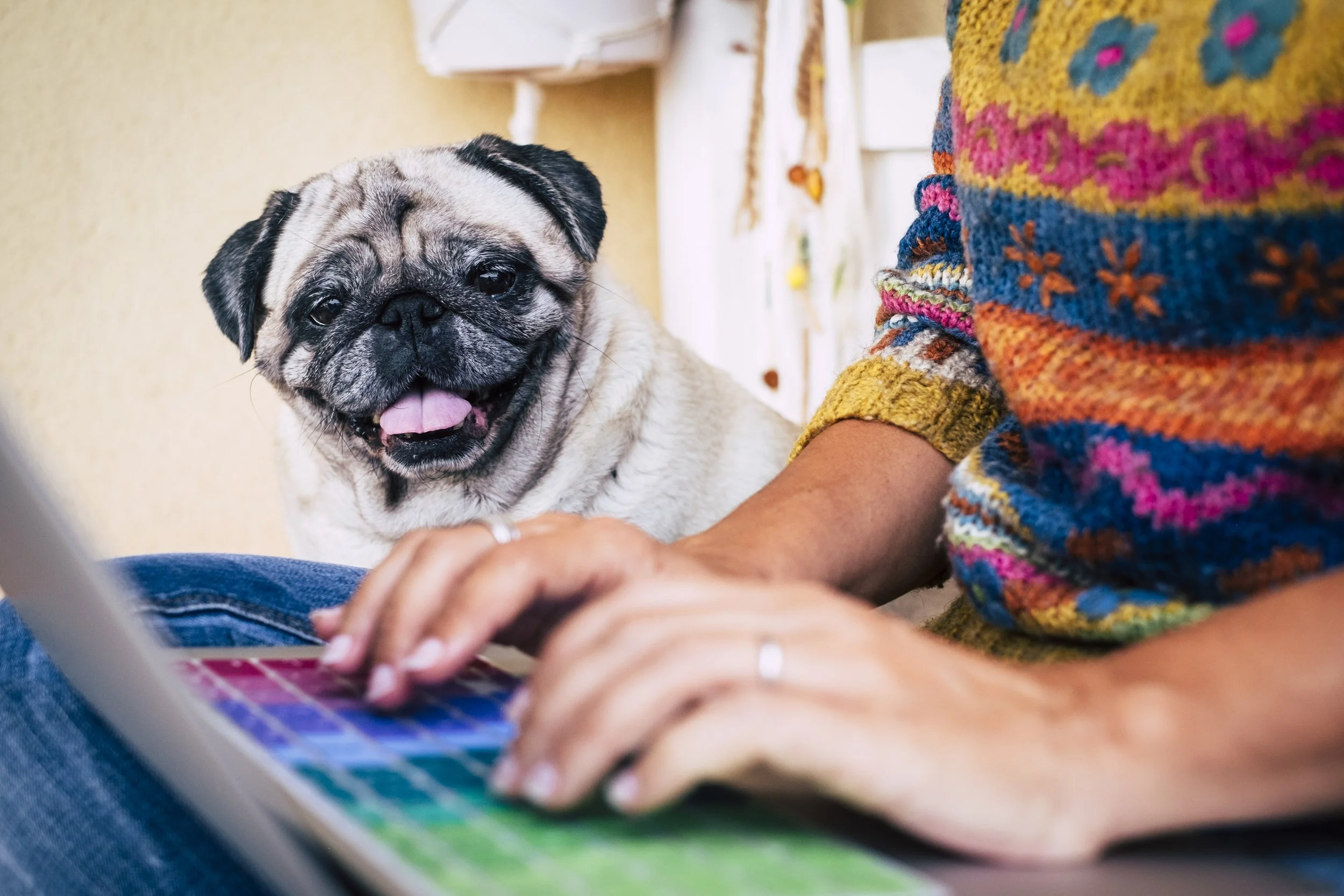Why Every Small Business Owner Needs an Email List