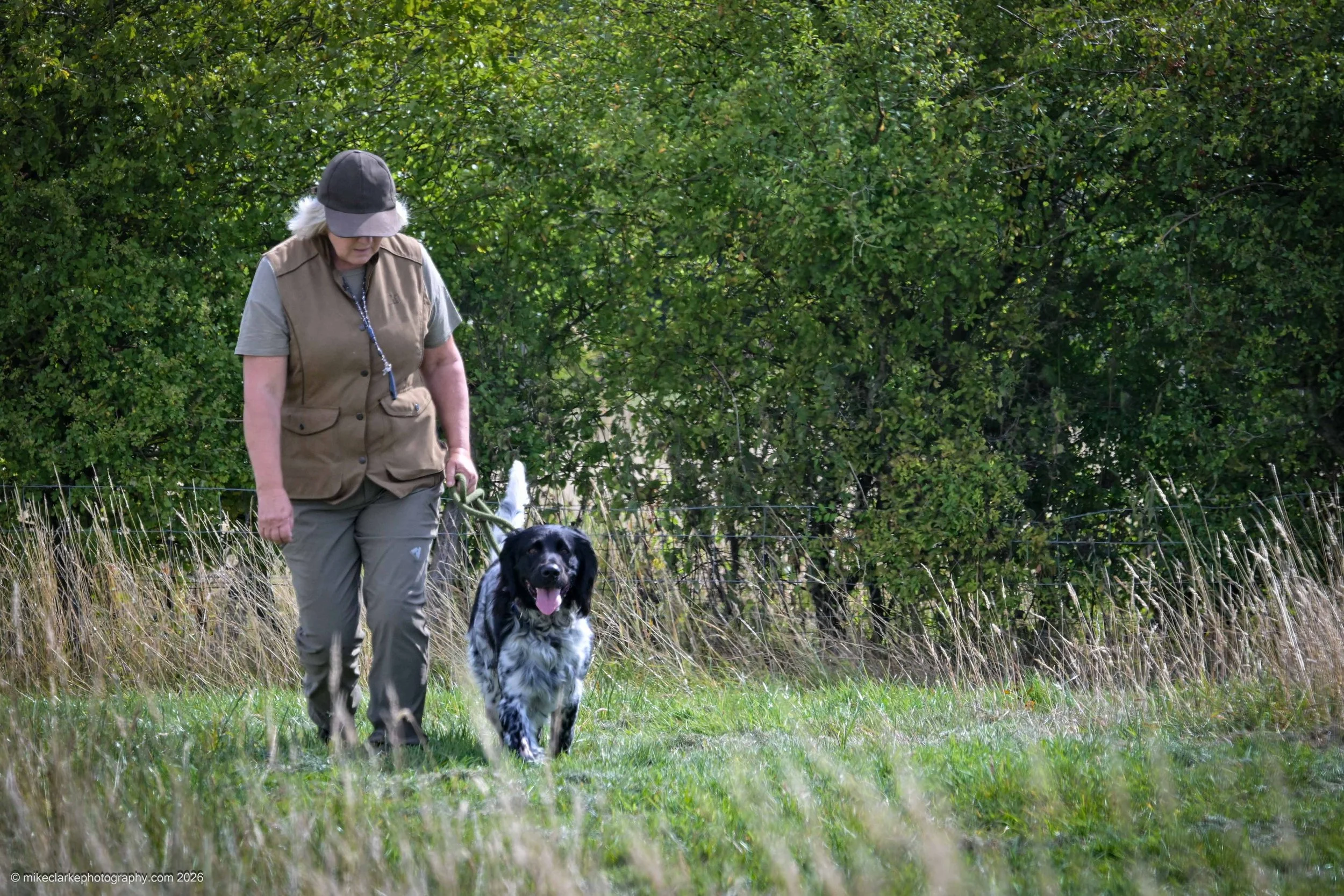 2026-08-09_YorkshireDogShow_25419.jpg