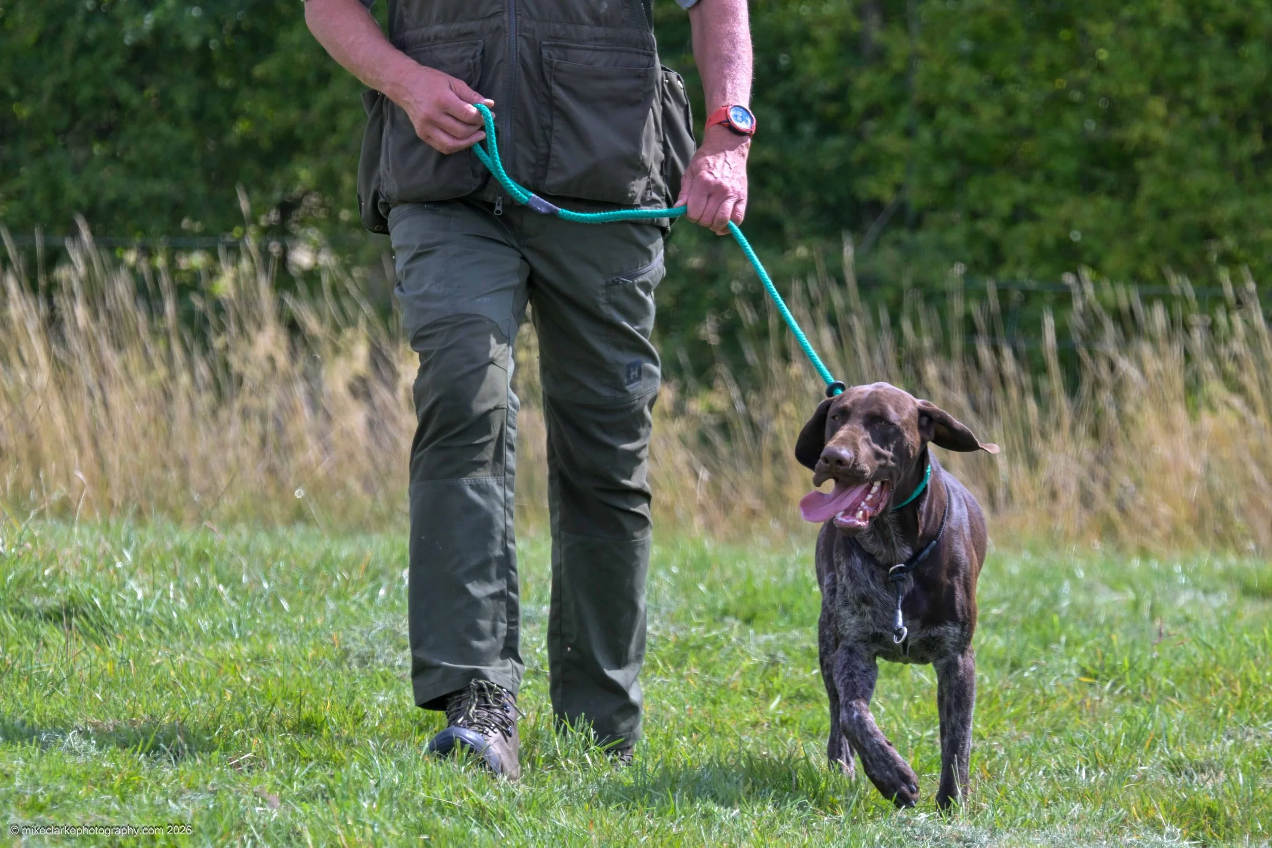 2026-08-09_YorkshireDogShow_25589.jpg