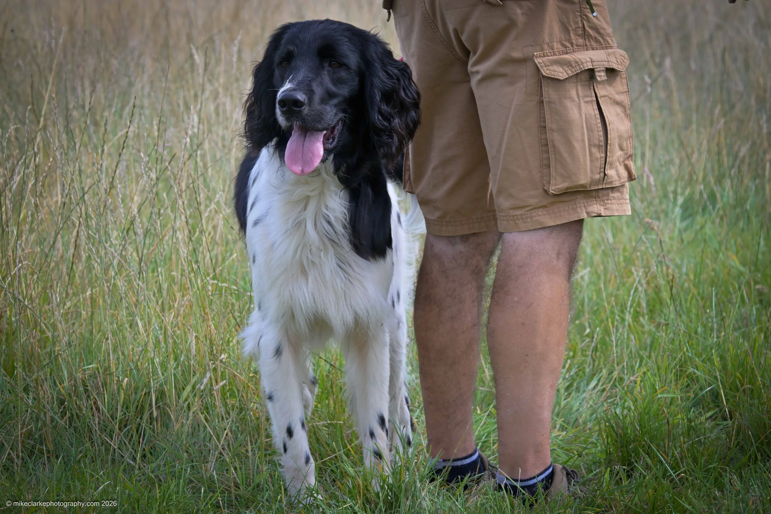 2026-08-09_YorkshireDogShow_25407.jpg