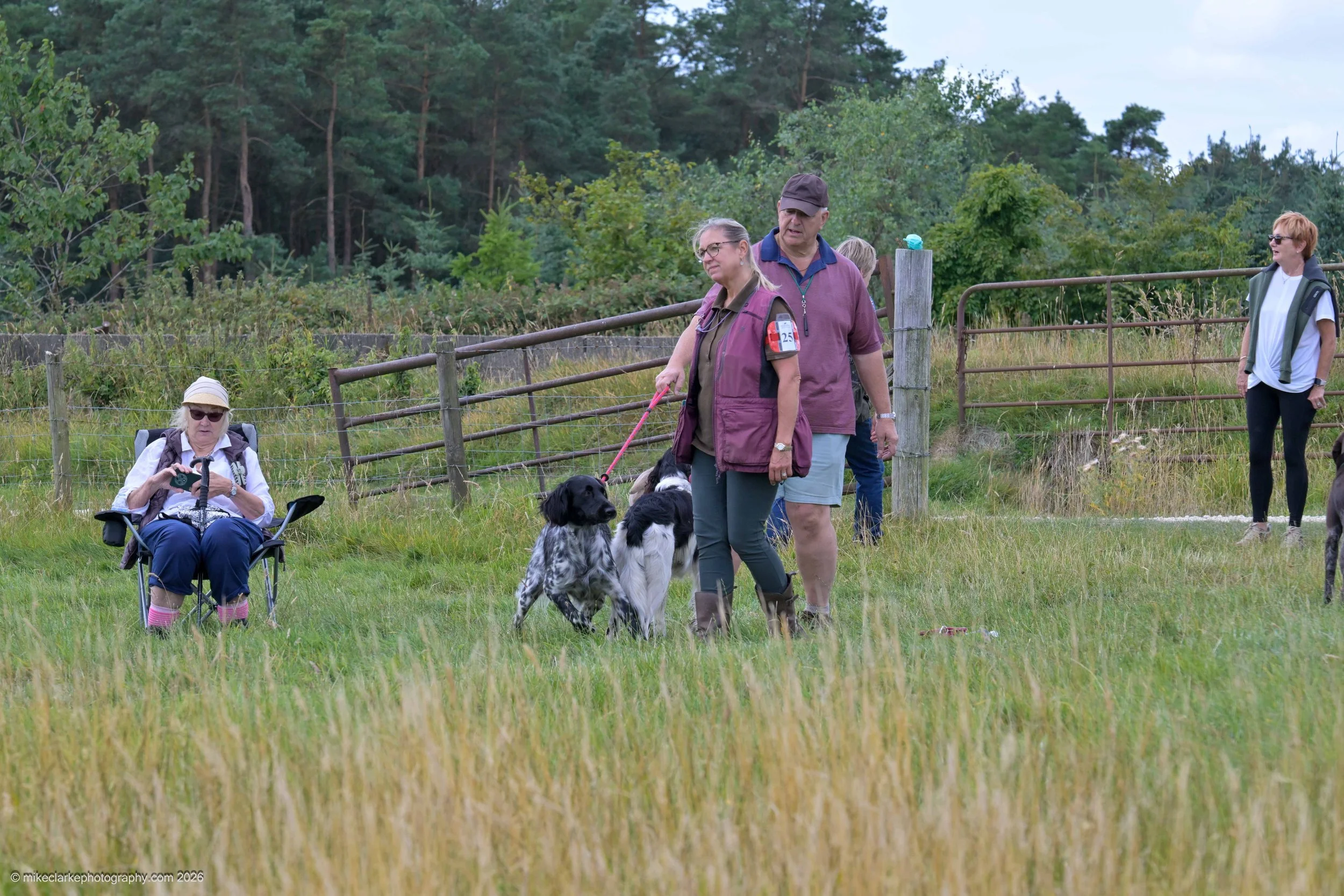 2026-08-09_YorkshireDogShow_25439.jpg