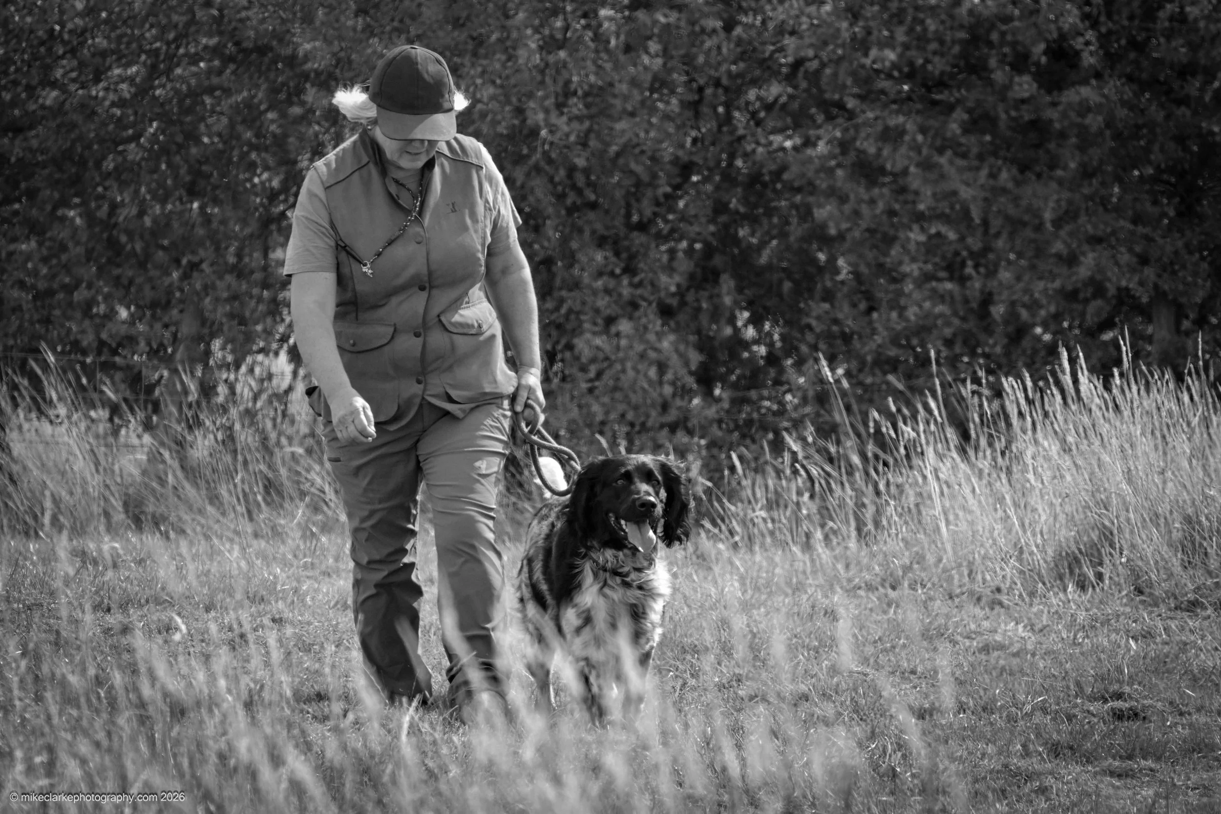 2026-08-09_YorkshireDogShow_25413.jpg