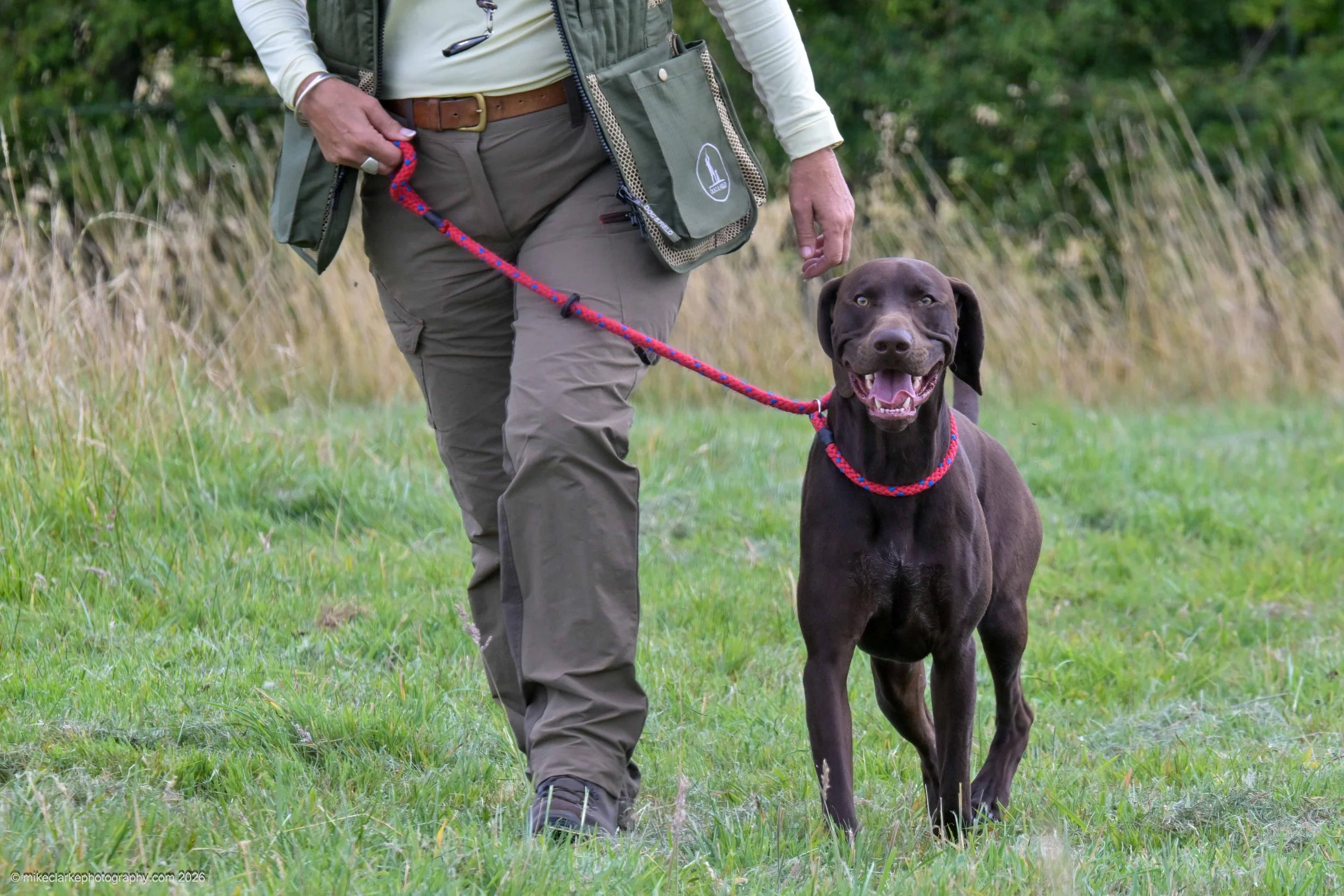 2026-08-09_YorkshireDogShow_25355.jpg