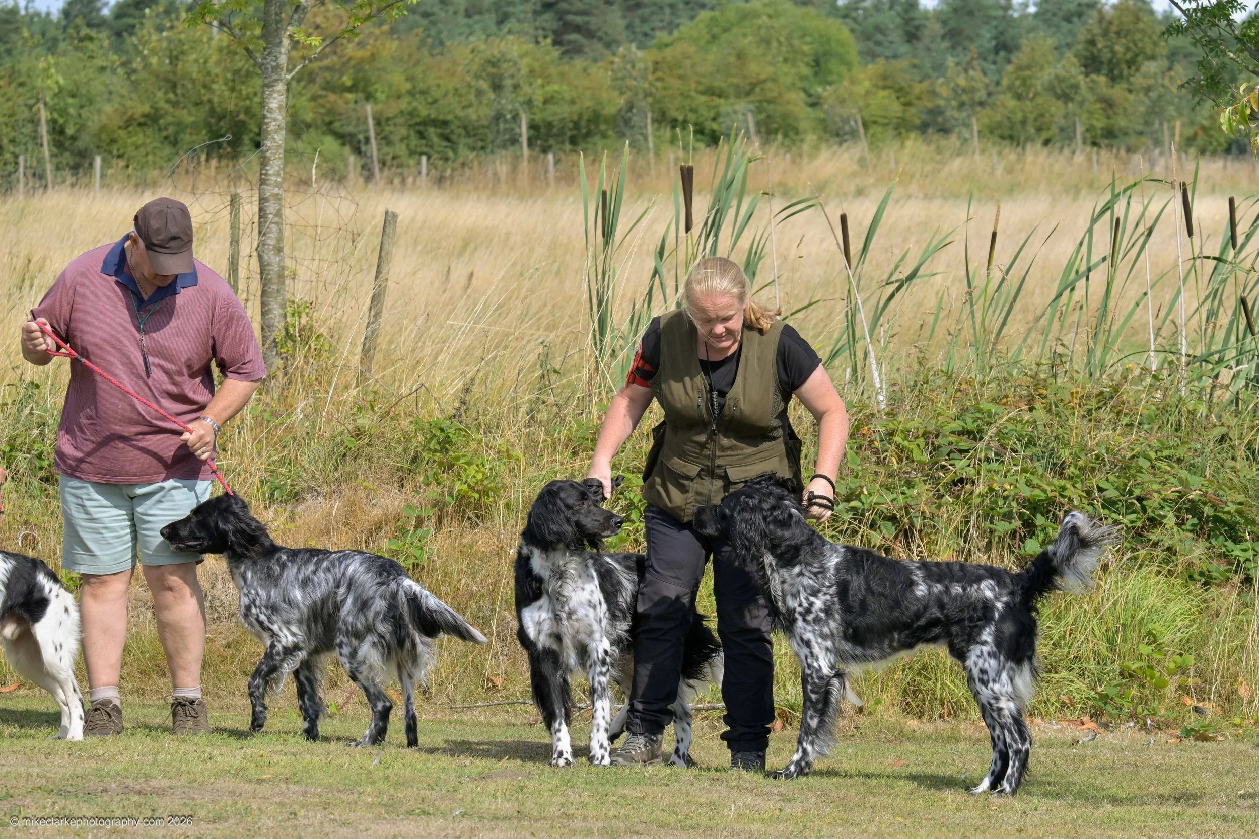 2026-08-09_YorkshireDogShow_25706.jpg