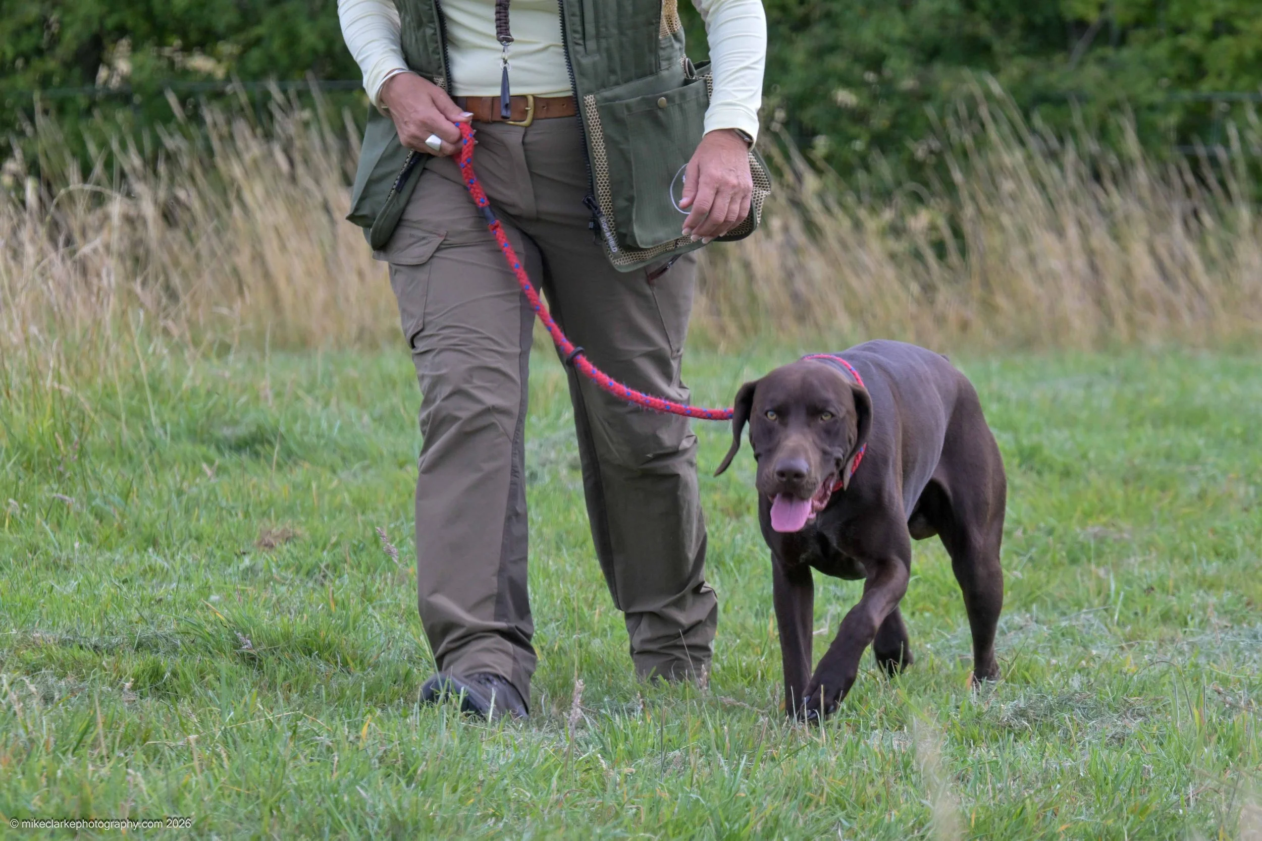 2026-08-09_YorkshireDogShow_25460.jpg