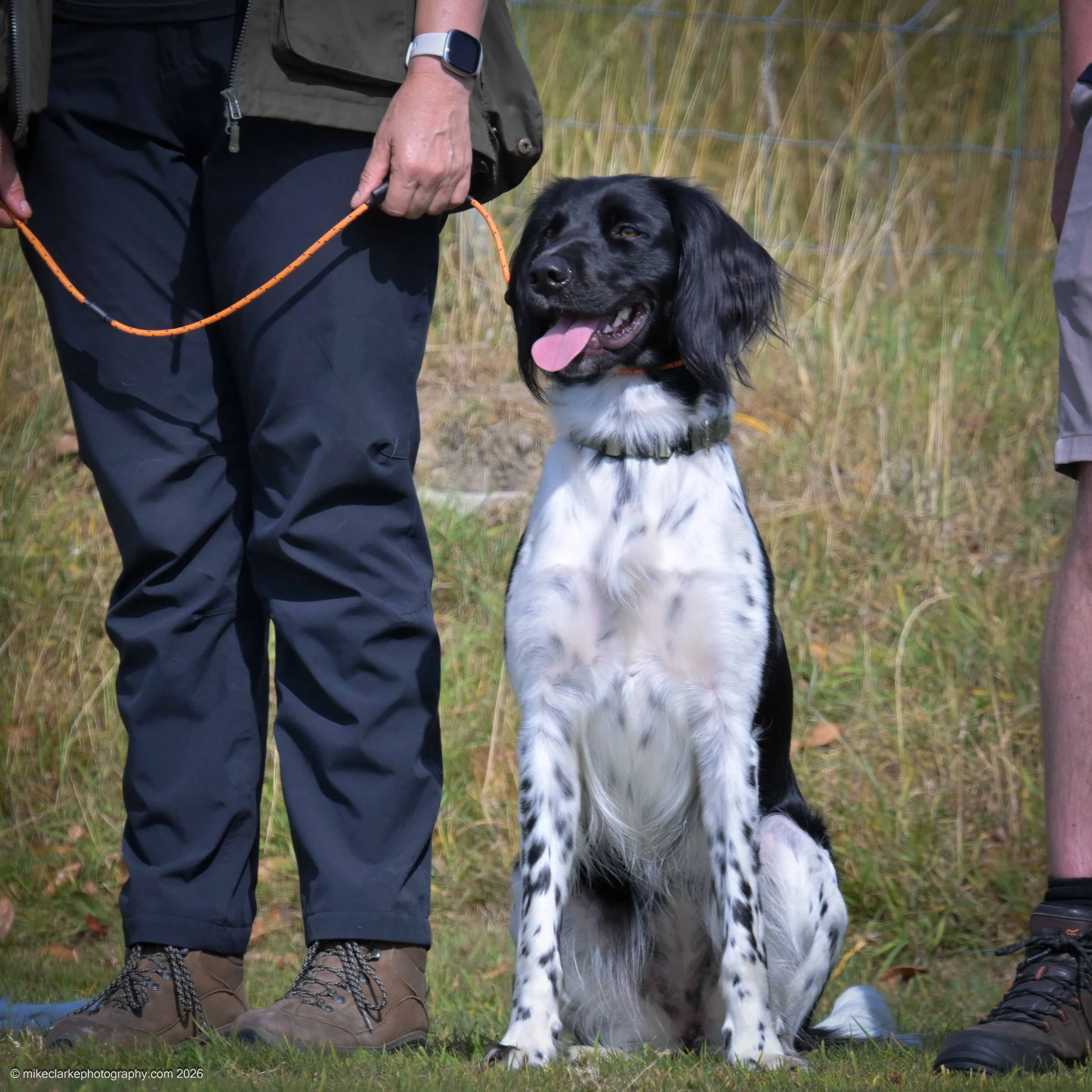 2026-08-09_YorkshireDogShow_25626.jpg