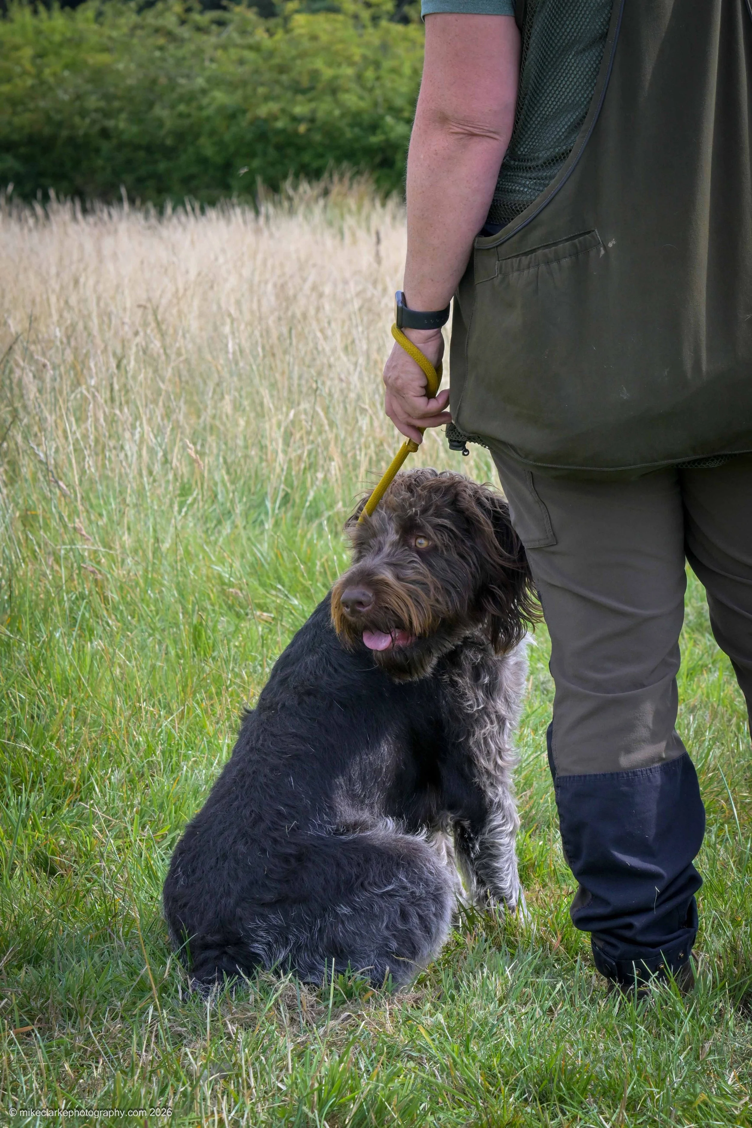 2026-08-09_YorkshireDogShow_25623.jpg