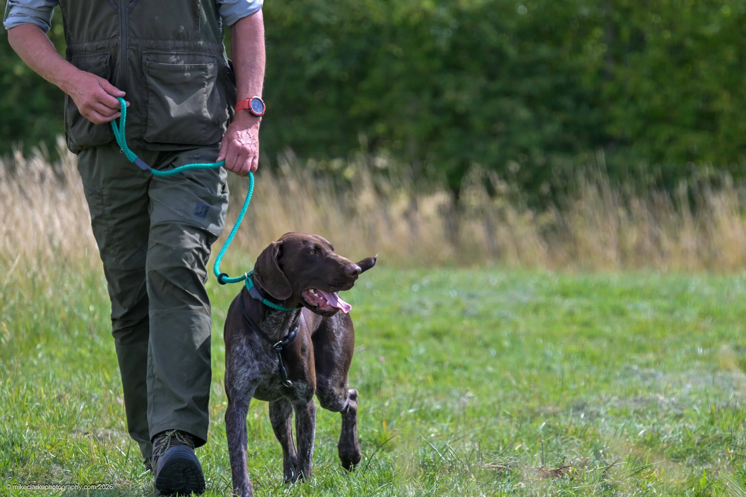 2026-08-09_YorkshireDogShow_25562.jpg
