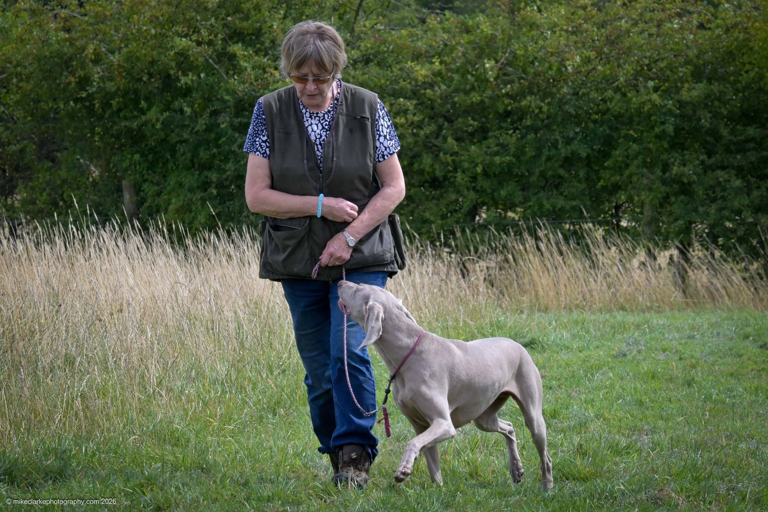 2026-08-09_YorkshireDogShow_25428.jpg