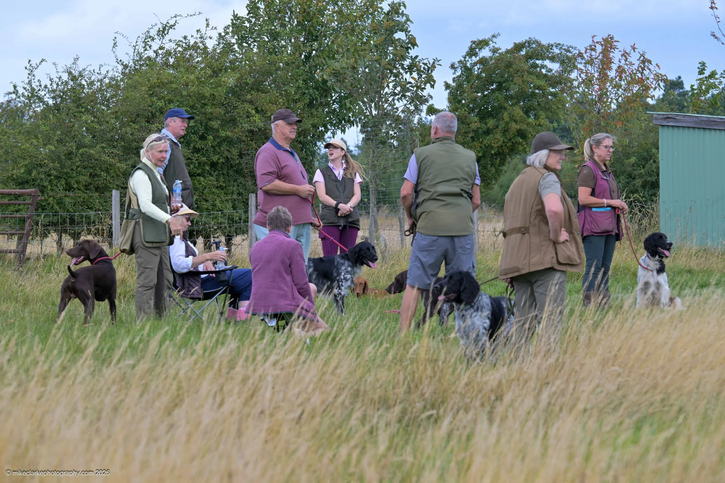2026-08-09_YorkshireDogShow_25638.jpg