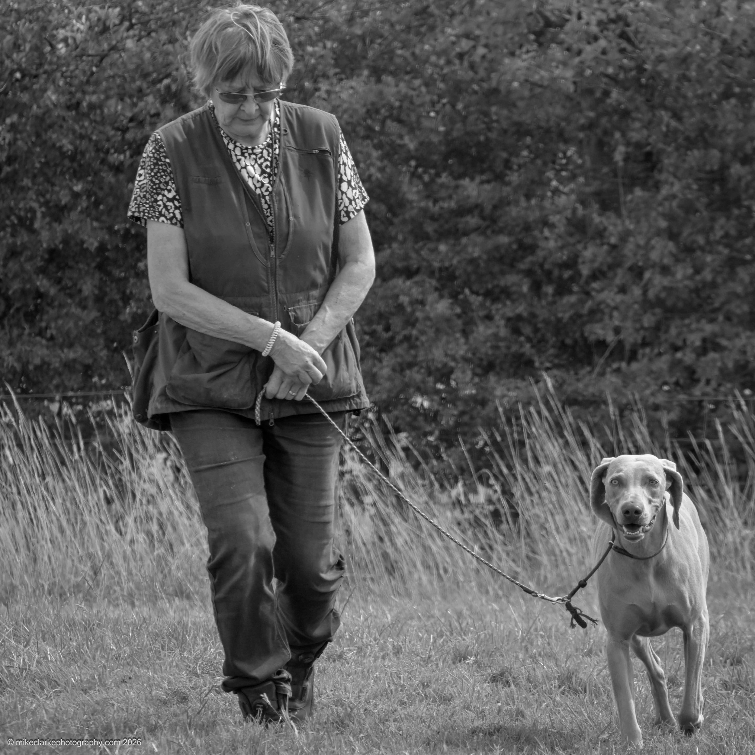 2026-08-09_YorkshireDogShow_25624.jpg