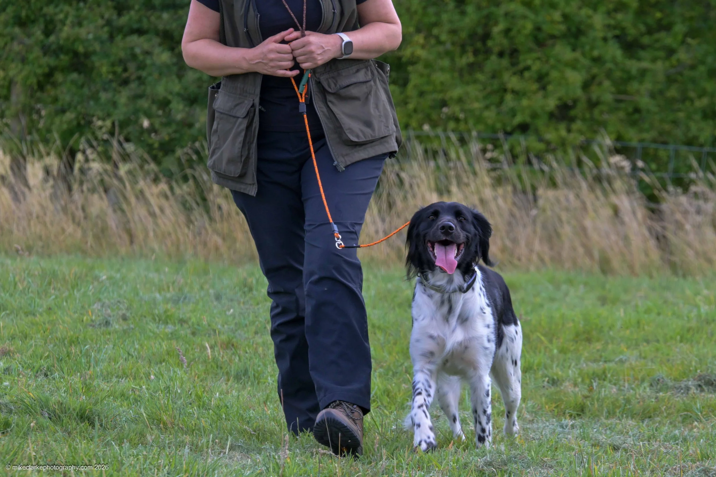 2026-08-09_YorkshireDogShow_25308.jpg