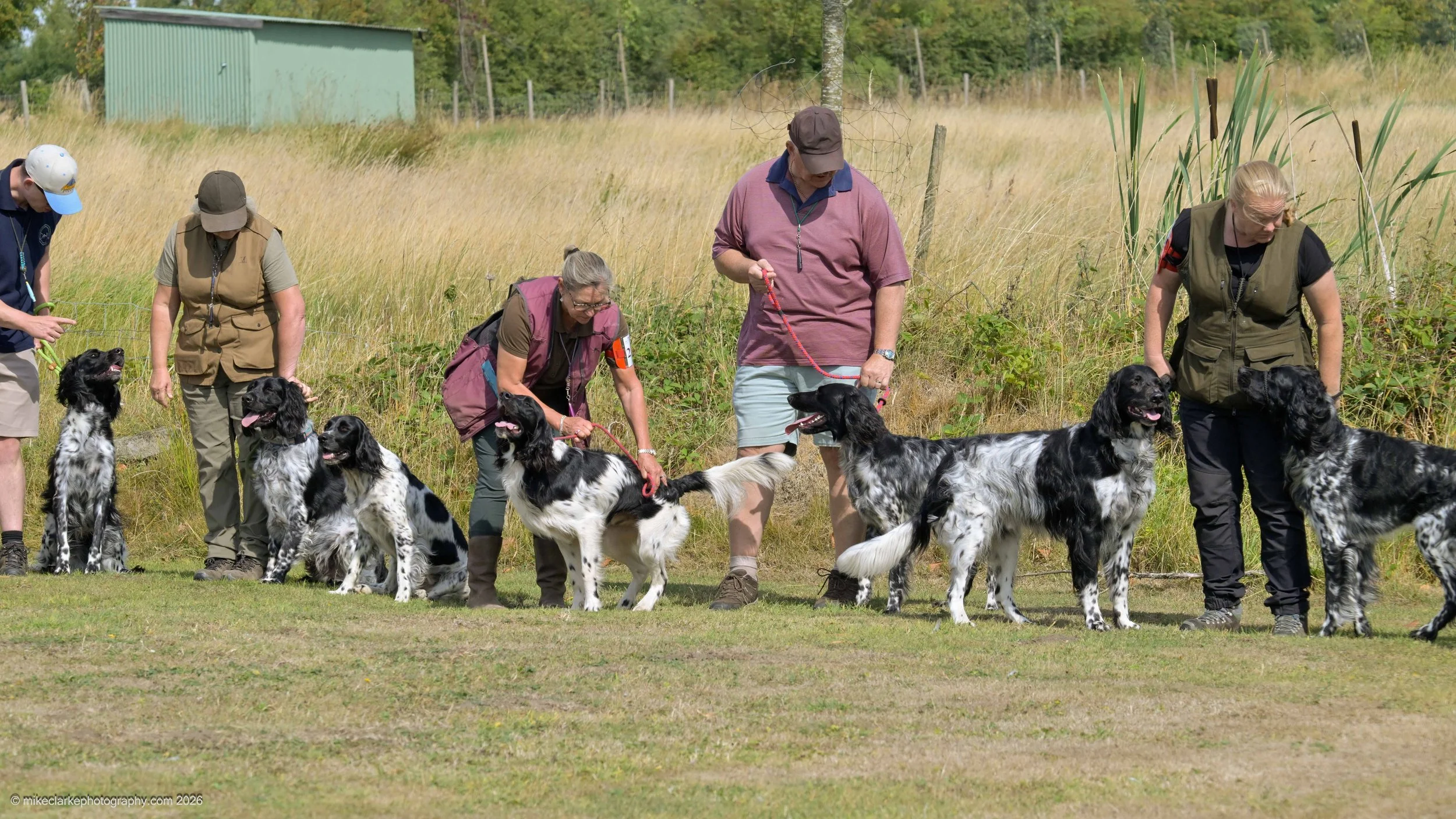 2026-08-09_YorkshireDogShow_25344.jpg