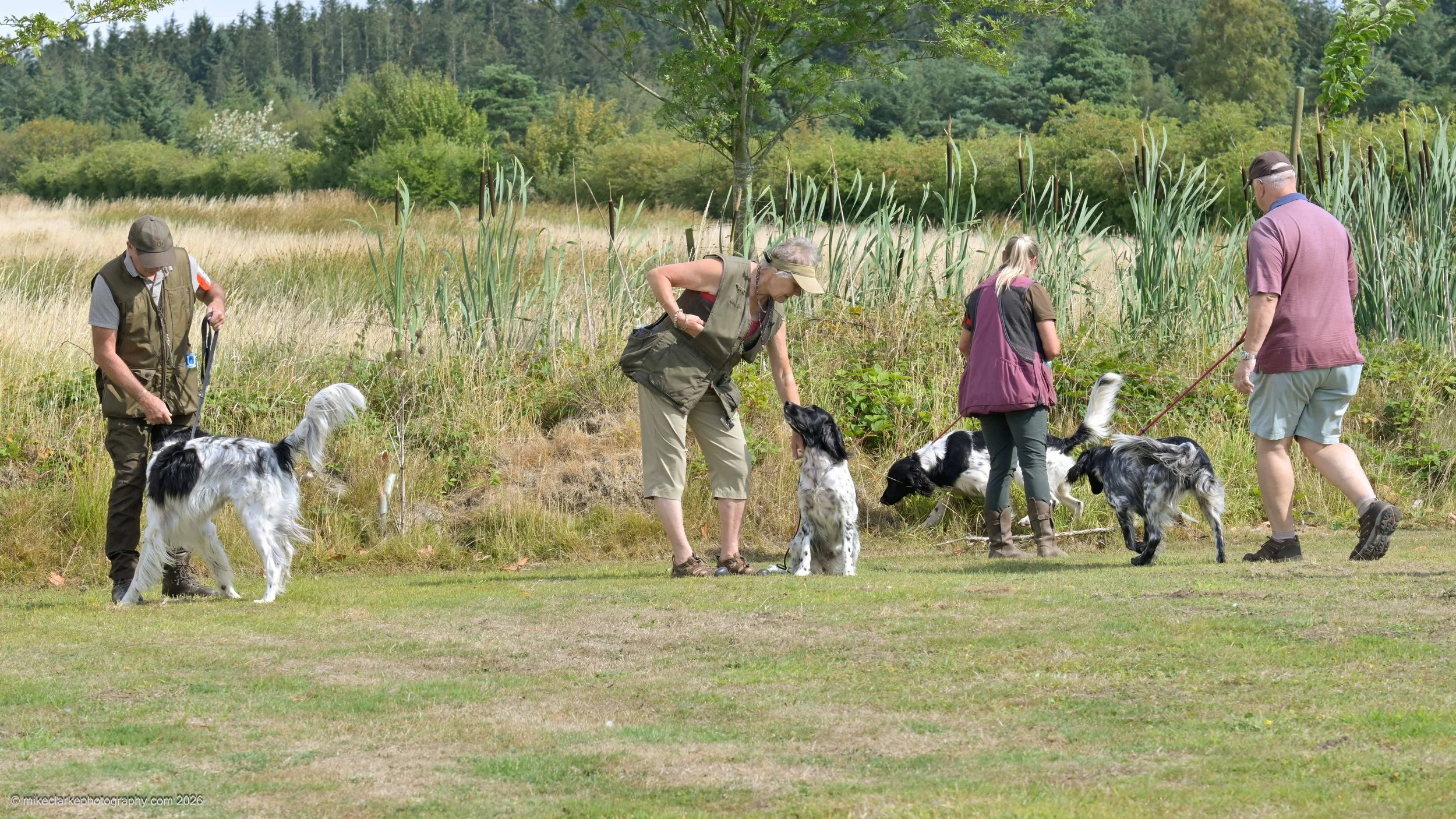 2026-08-09_YorkshireDogShow_25652.jpg