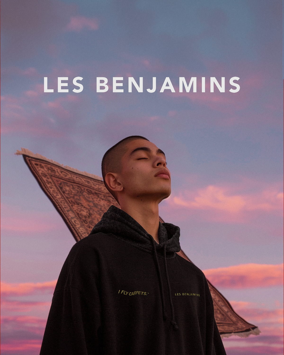 For LES BENJAMINS1.png