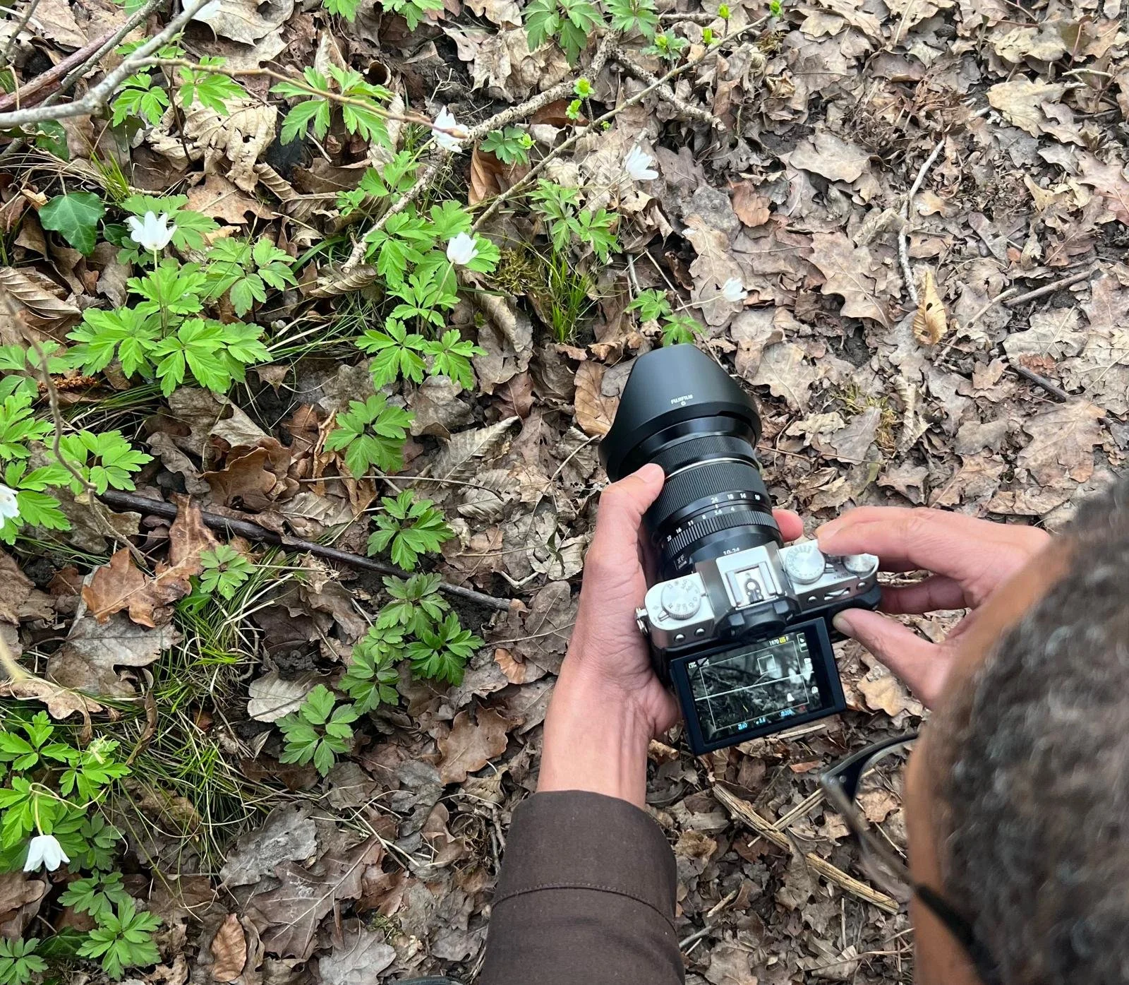 WhatsApp Image 2025-04-07 at 08.18.32(9).jpeg