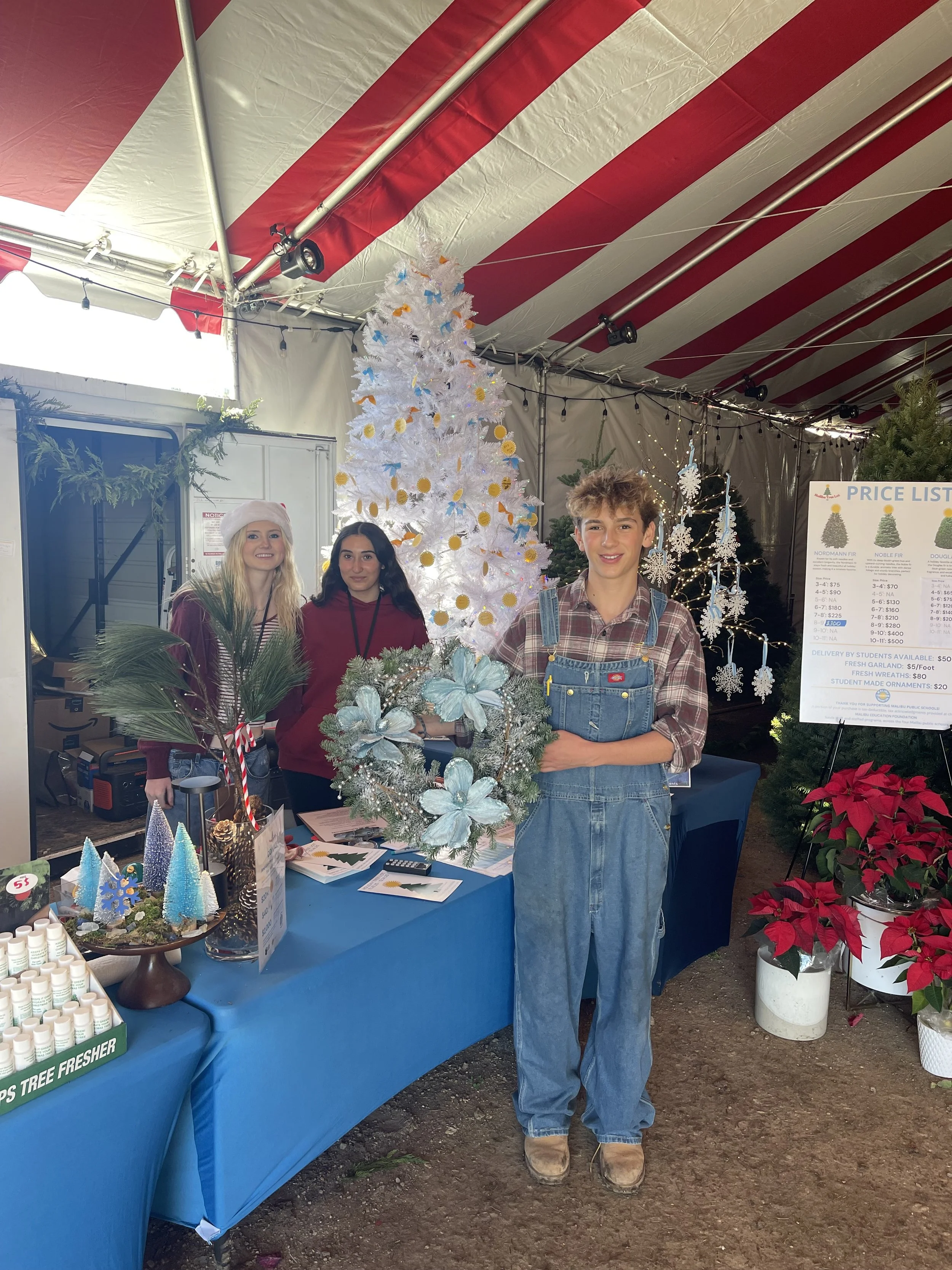 Holiday Tree Lot