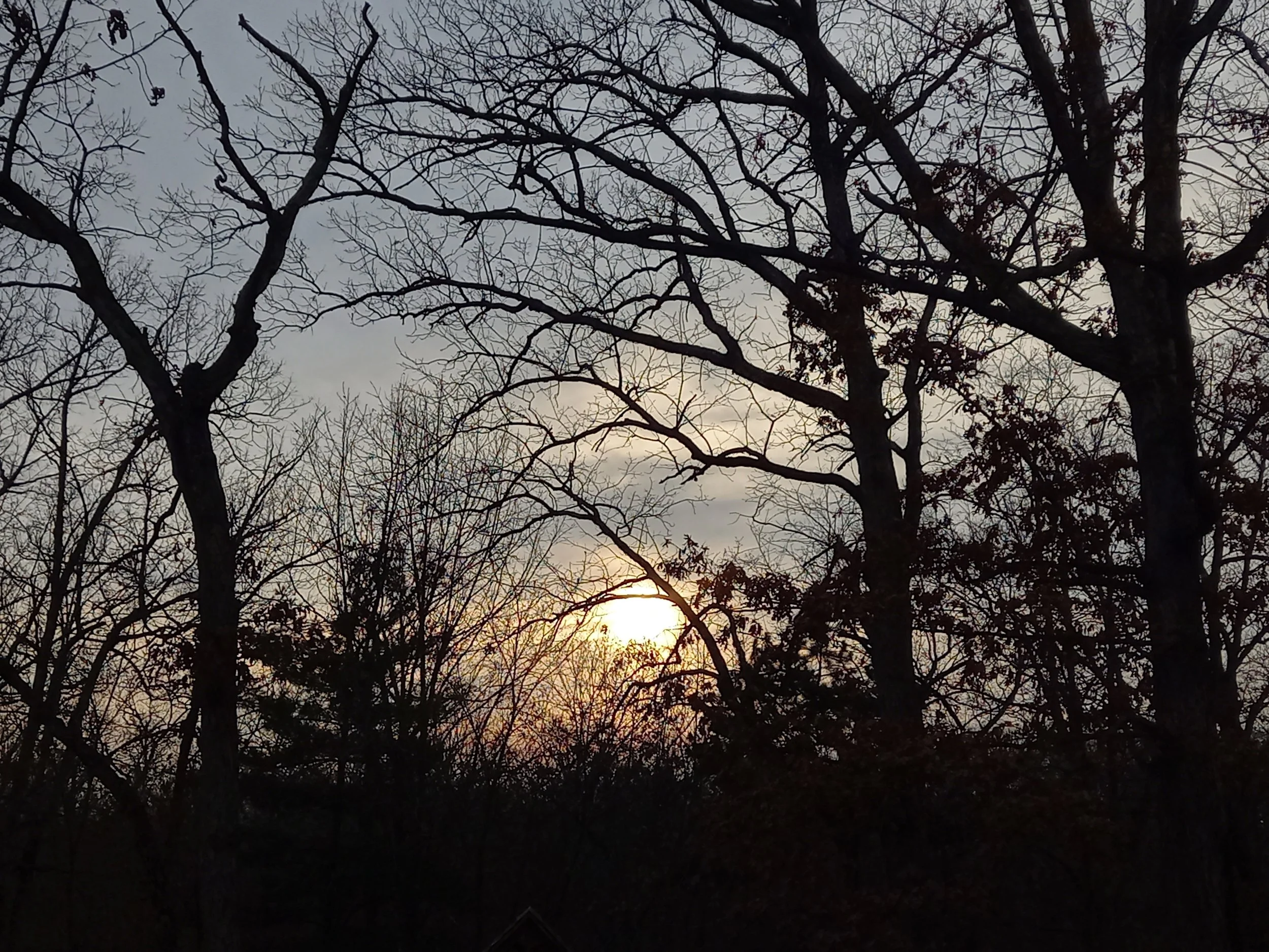 Introduction to Shamanic Drum Journeying:  Journey to Meet Your Guide