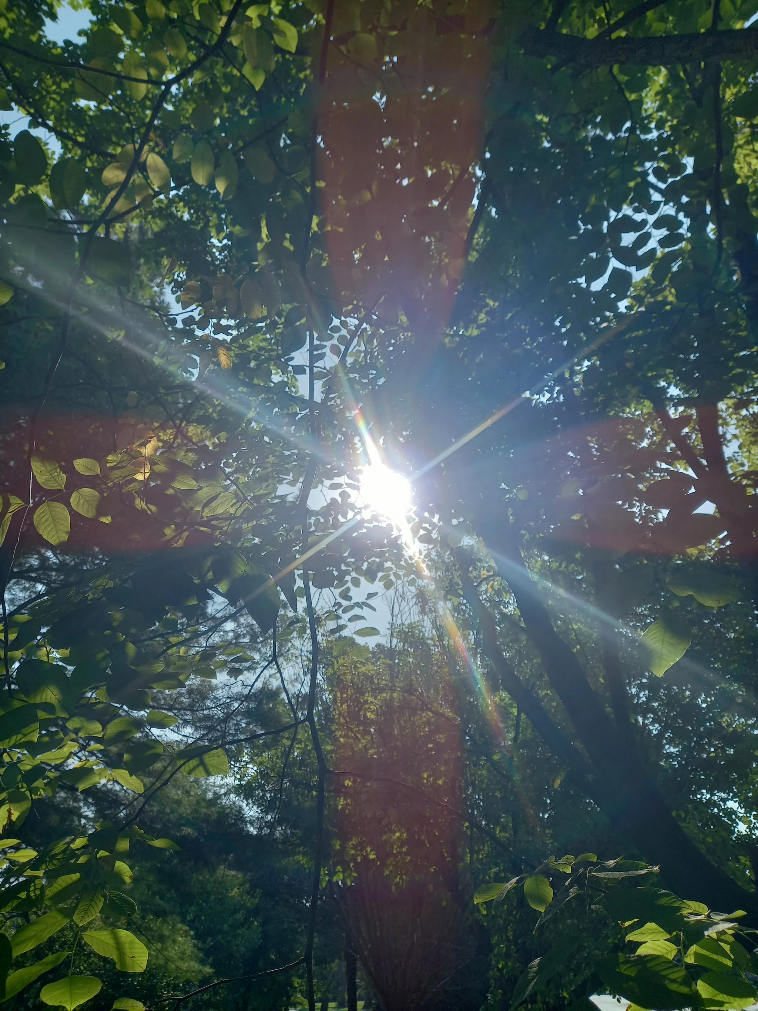 Exploring Healing with Your Inner Guide: Guided Meditation Journey with Live Drumming