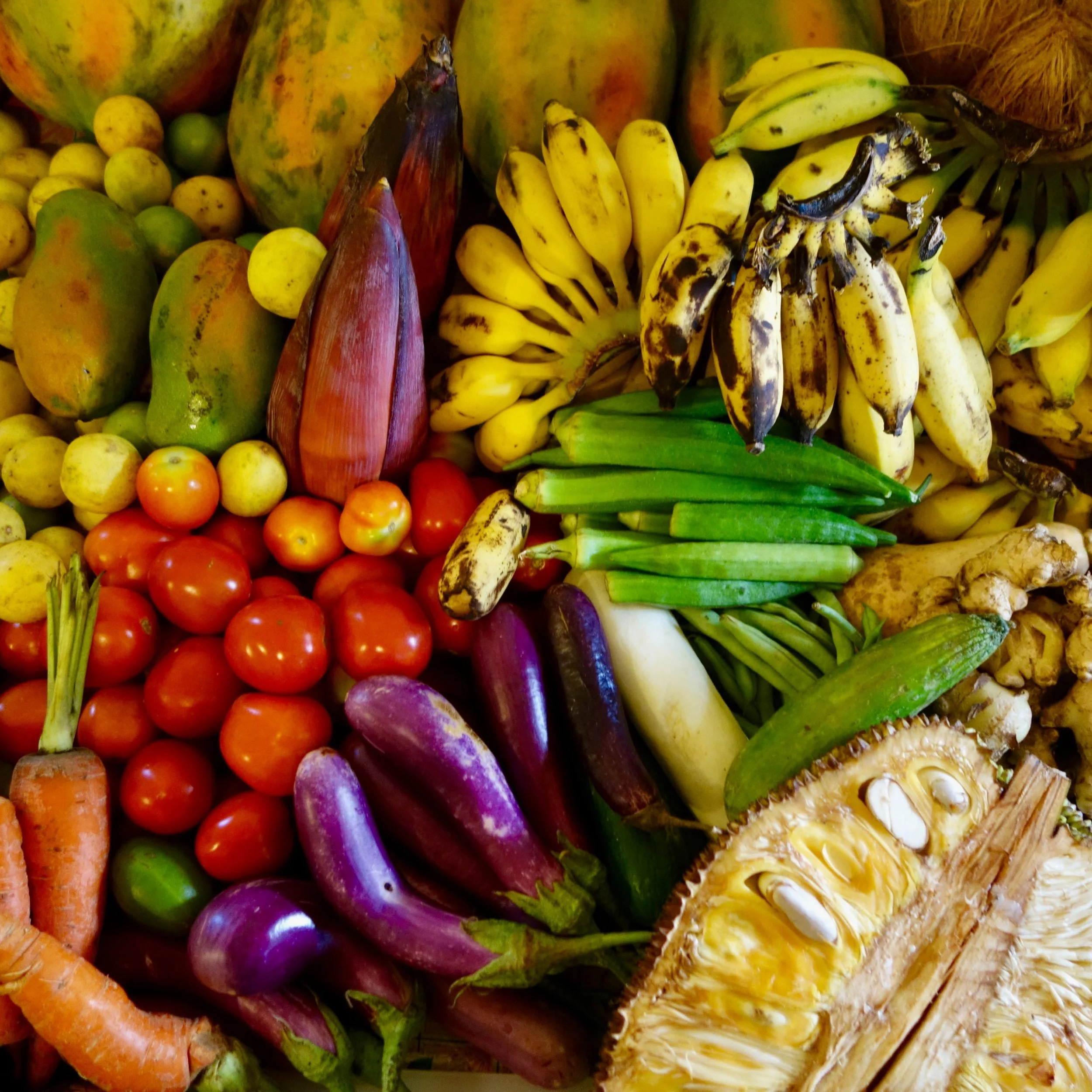 FAR OUT #29 ~ Garbage In, Garbage Out (Alasdair’s food story)