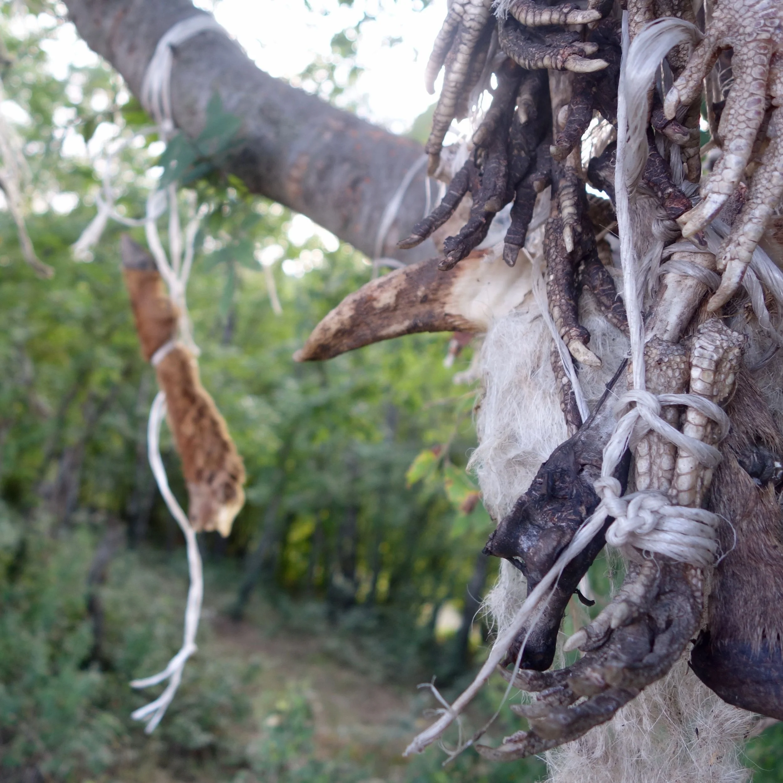 FAR OUT #77 ~ Off the Map and Lost in a Conflict Zone [Travel Story]