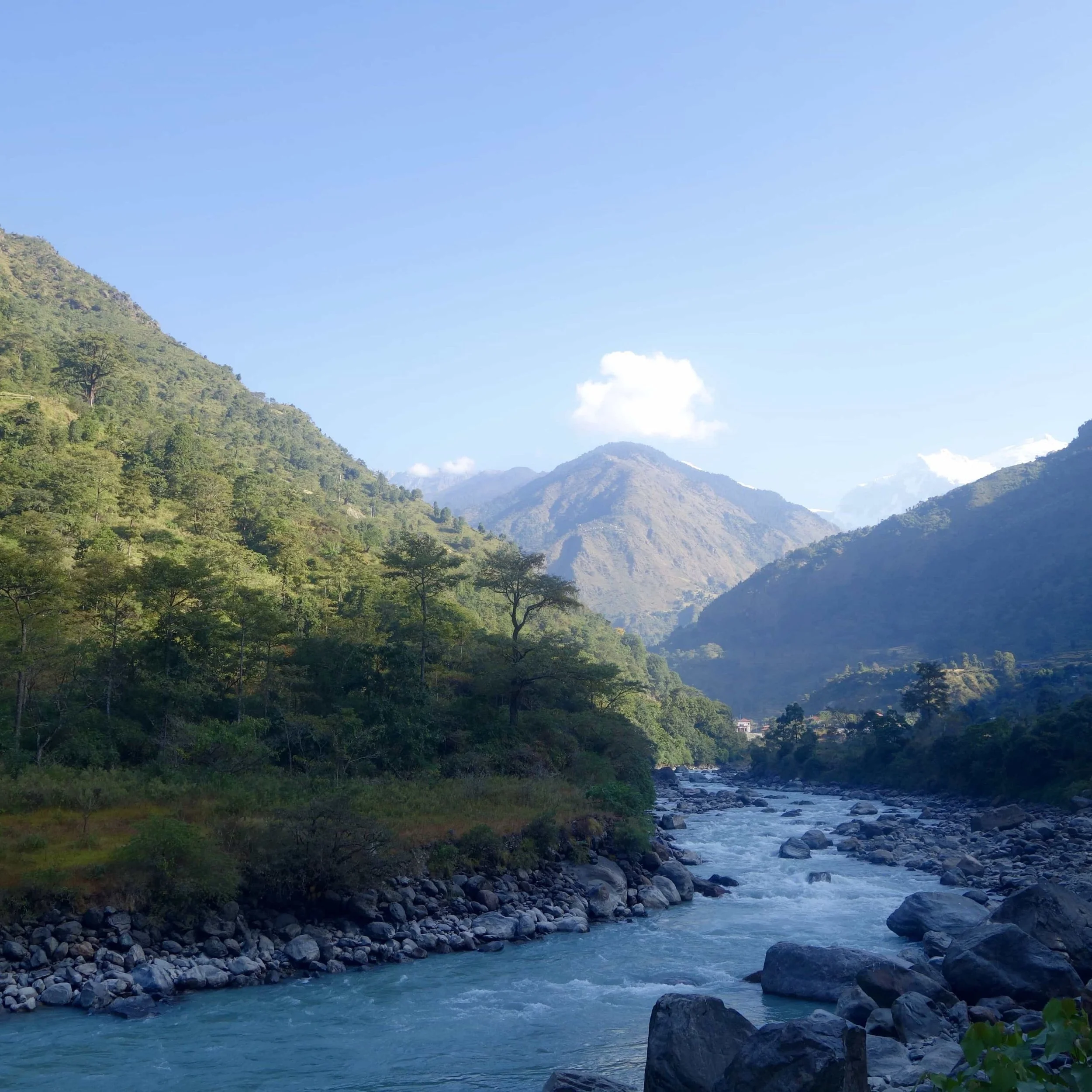 FAR OUT #145 ~ The Path of Least Resistance