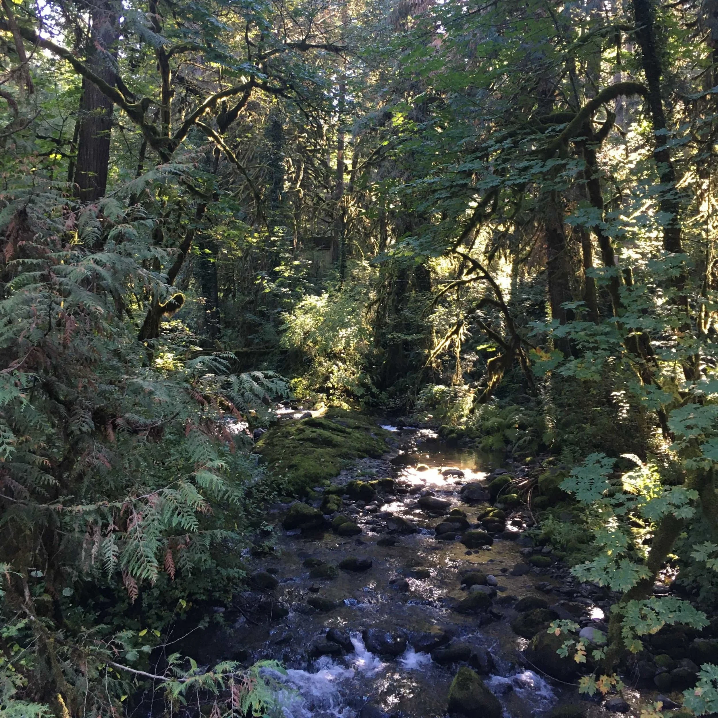 FAR OUT #147 ~ Work is Love Made Visible