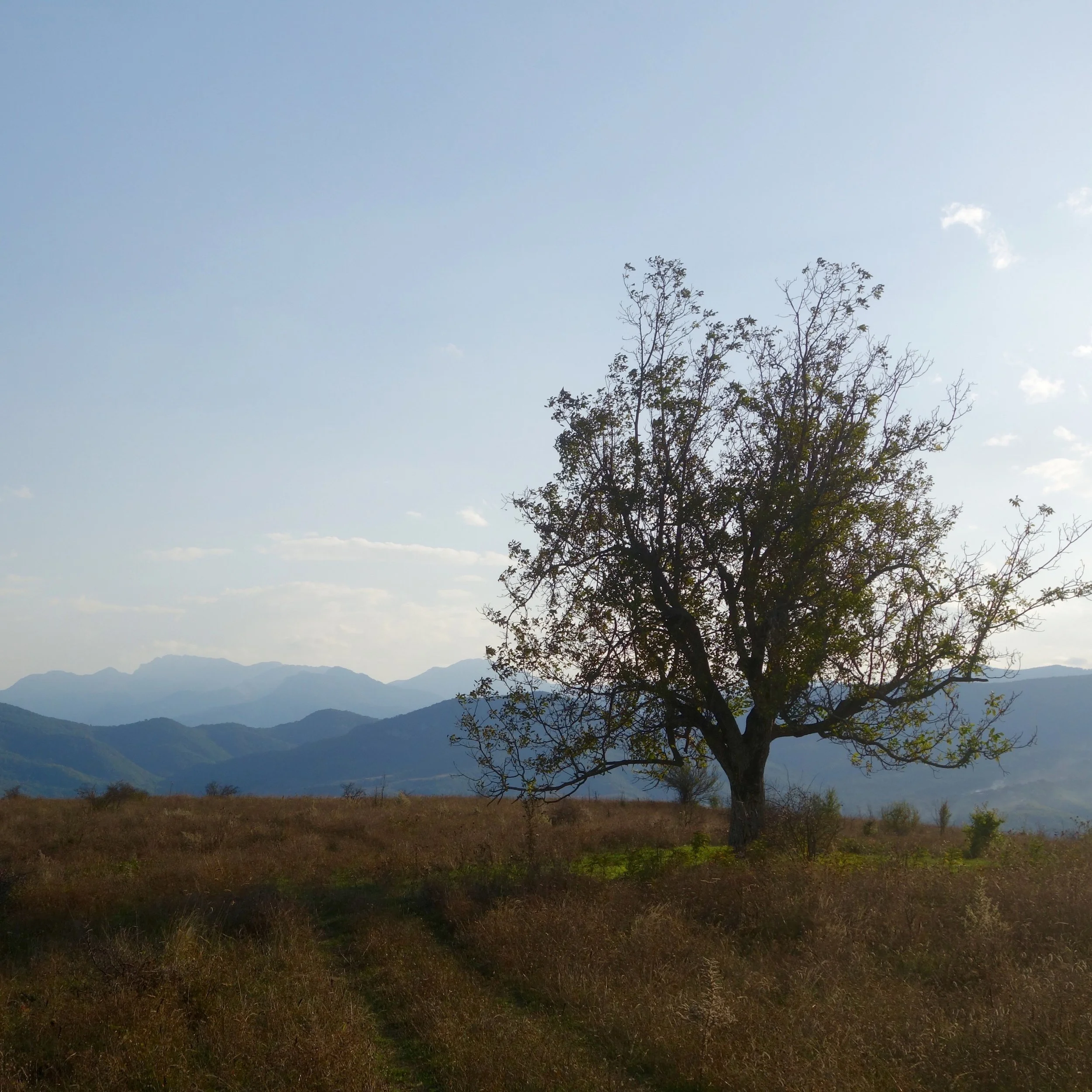 FAR OUT #68 ~ You are NOT the Average of the Five People You Spend the Most Time With