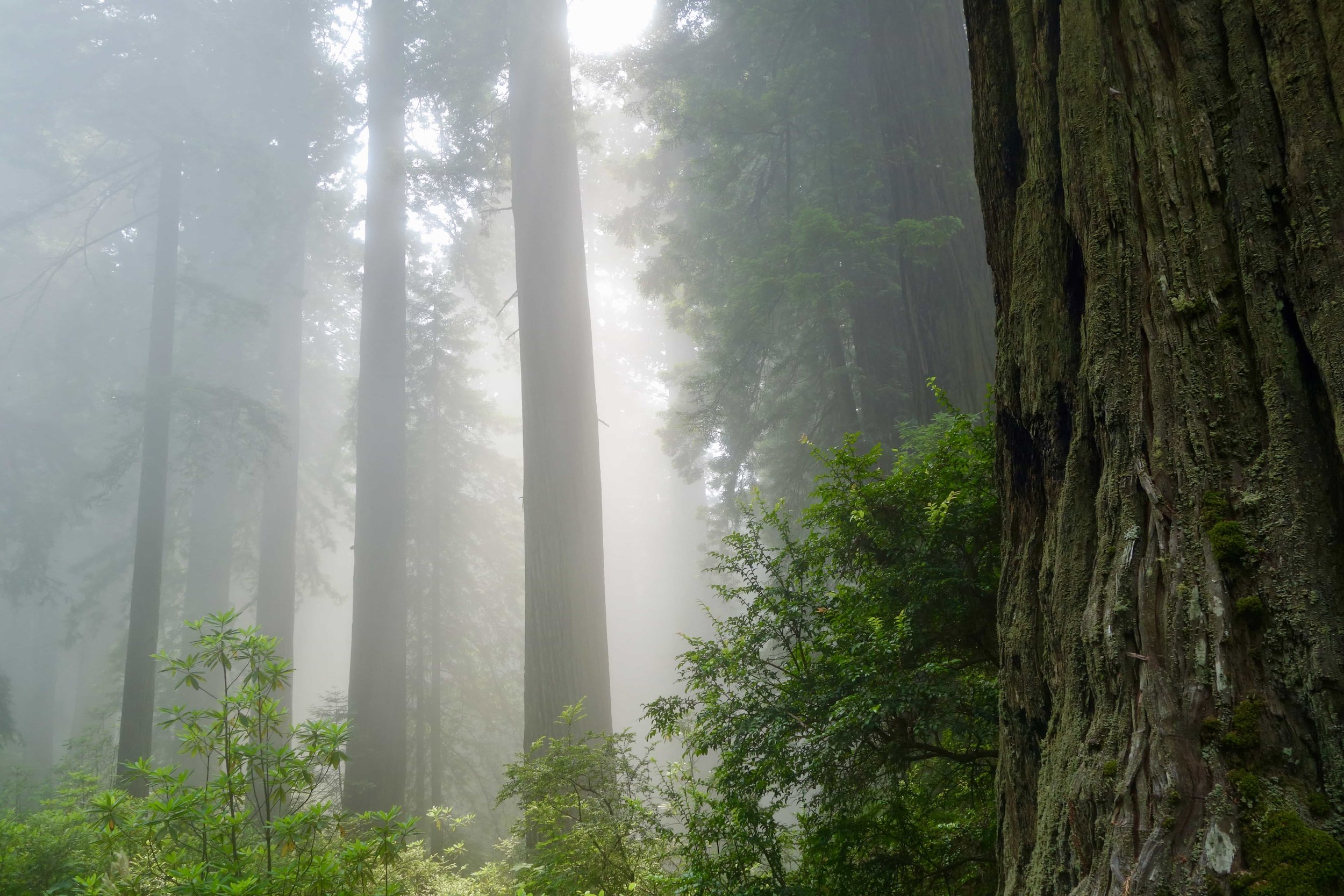 FAR OUT #178 ~ Don’t Become the Best, Become the Only